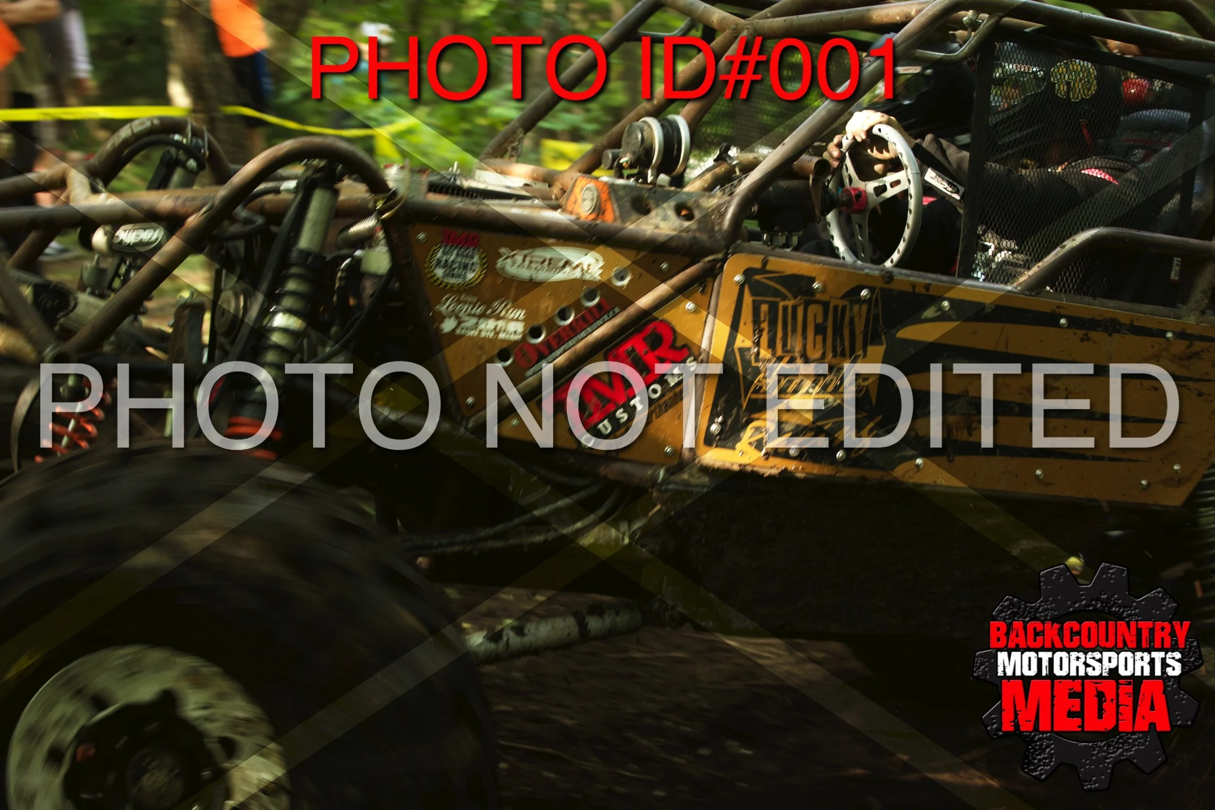 1D__0002.jpg