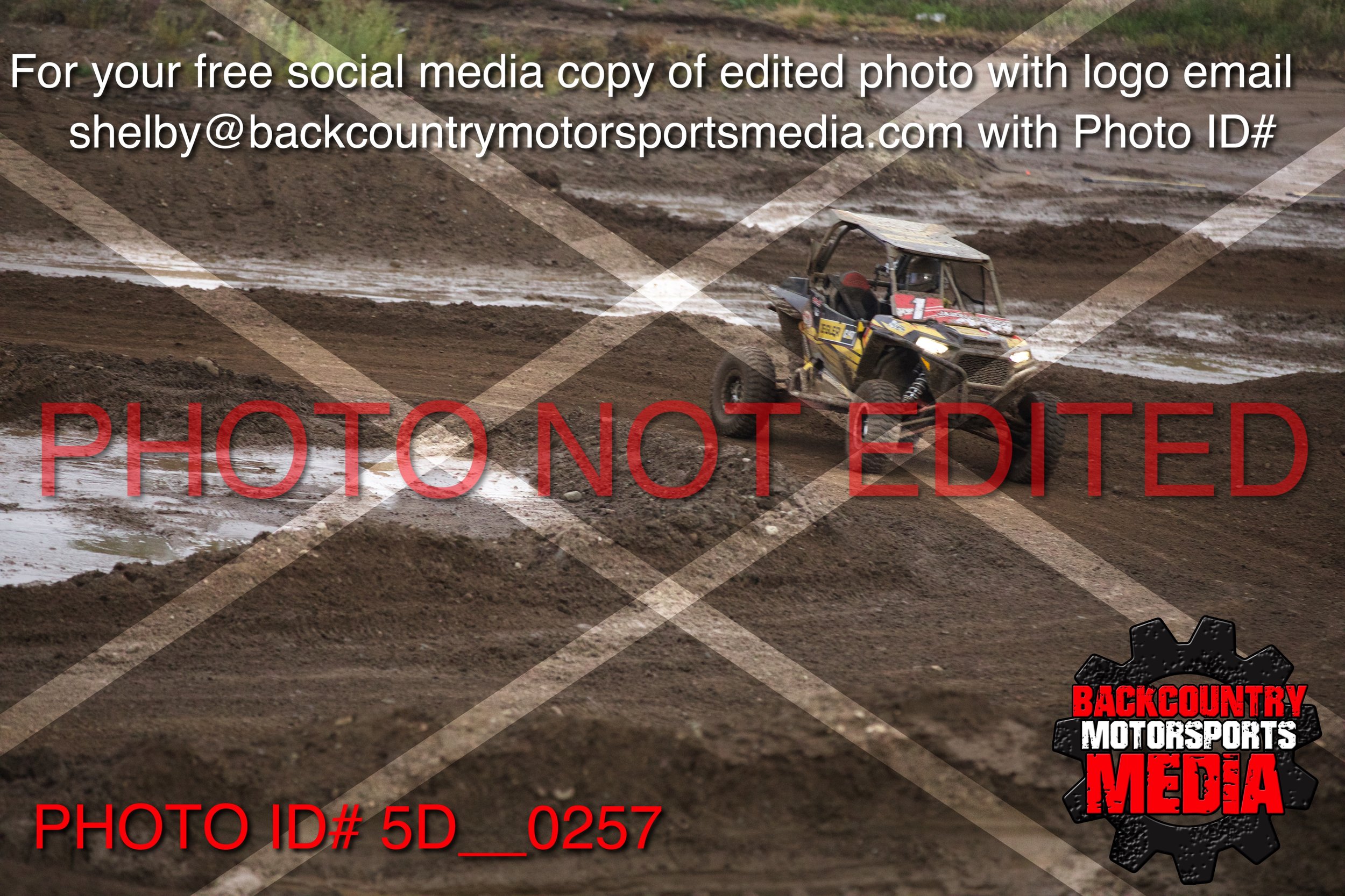 5D__0257.jpg