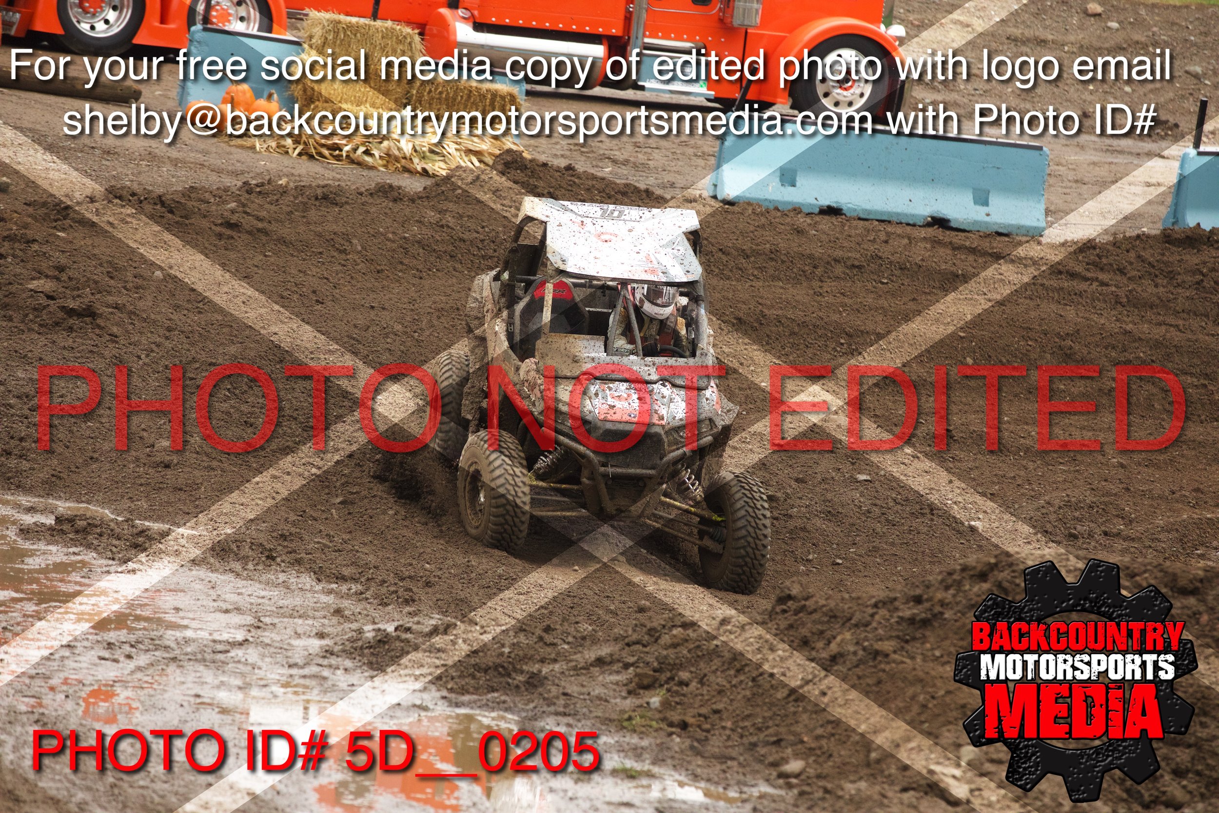 5D__0205.jpg