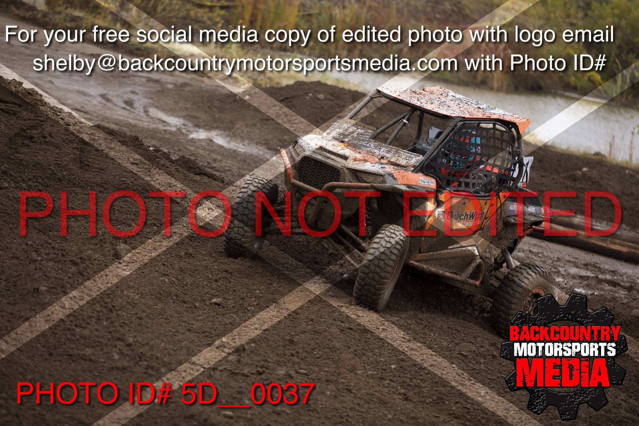 5D__0037.jpg