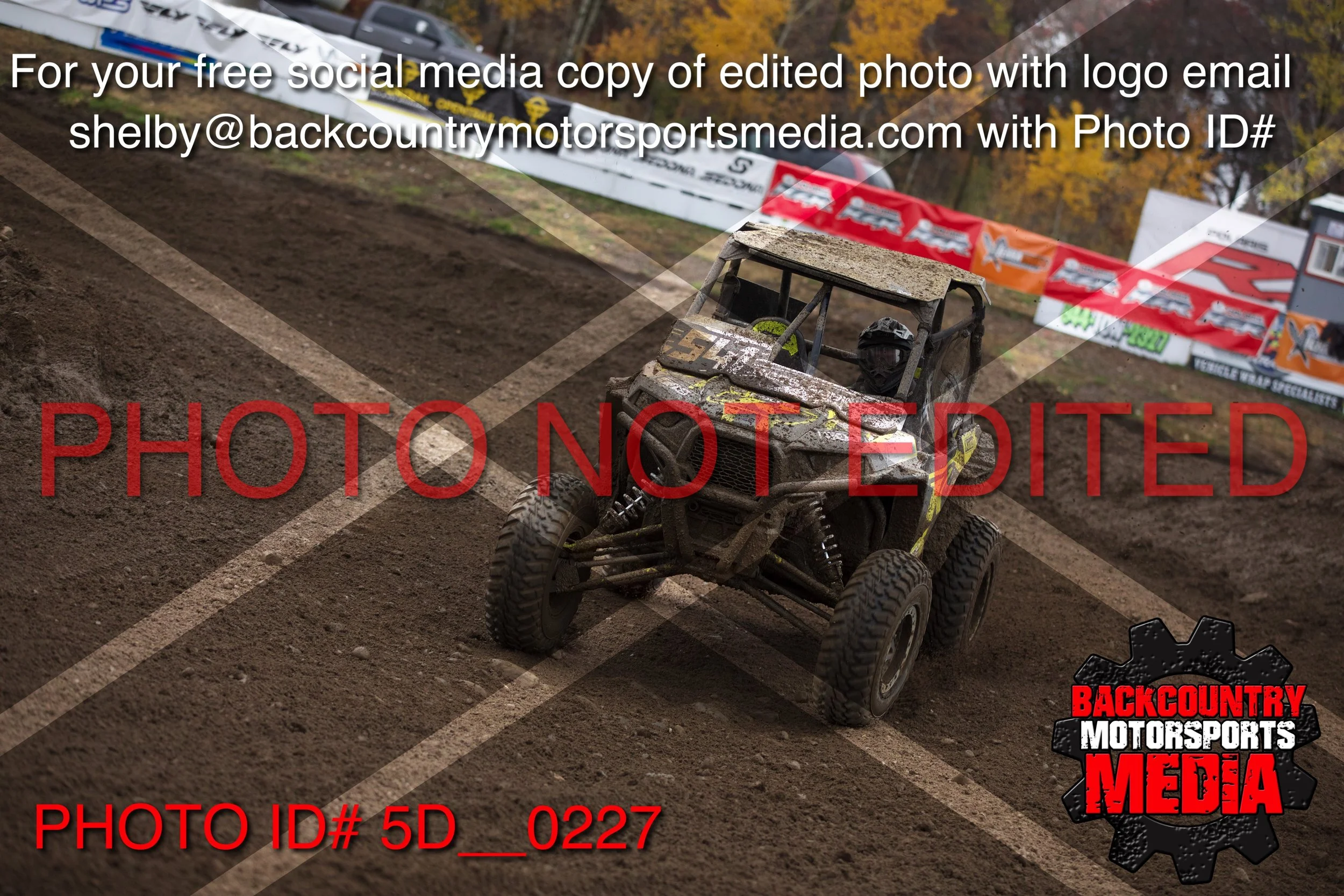 5D__0227.jpg