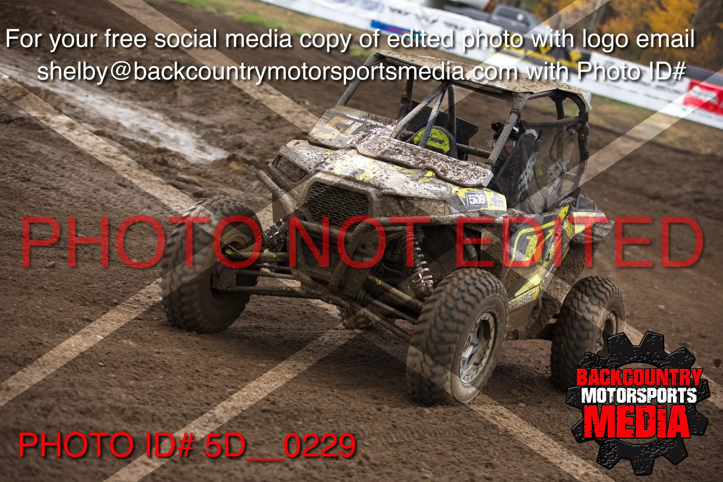 5D__0229.jpg
