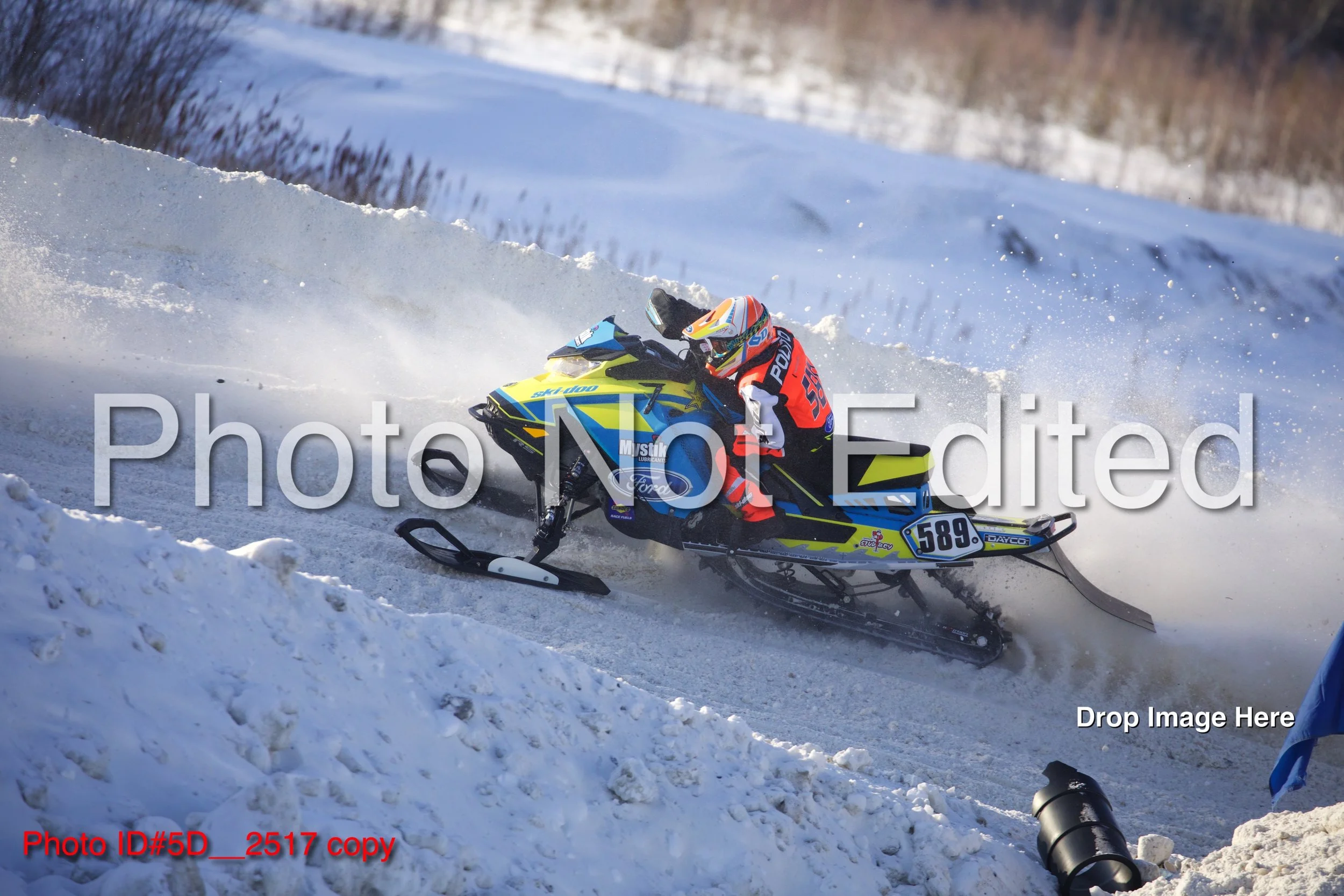 5D__2517 copy.jpg
