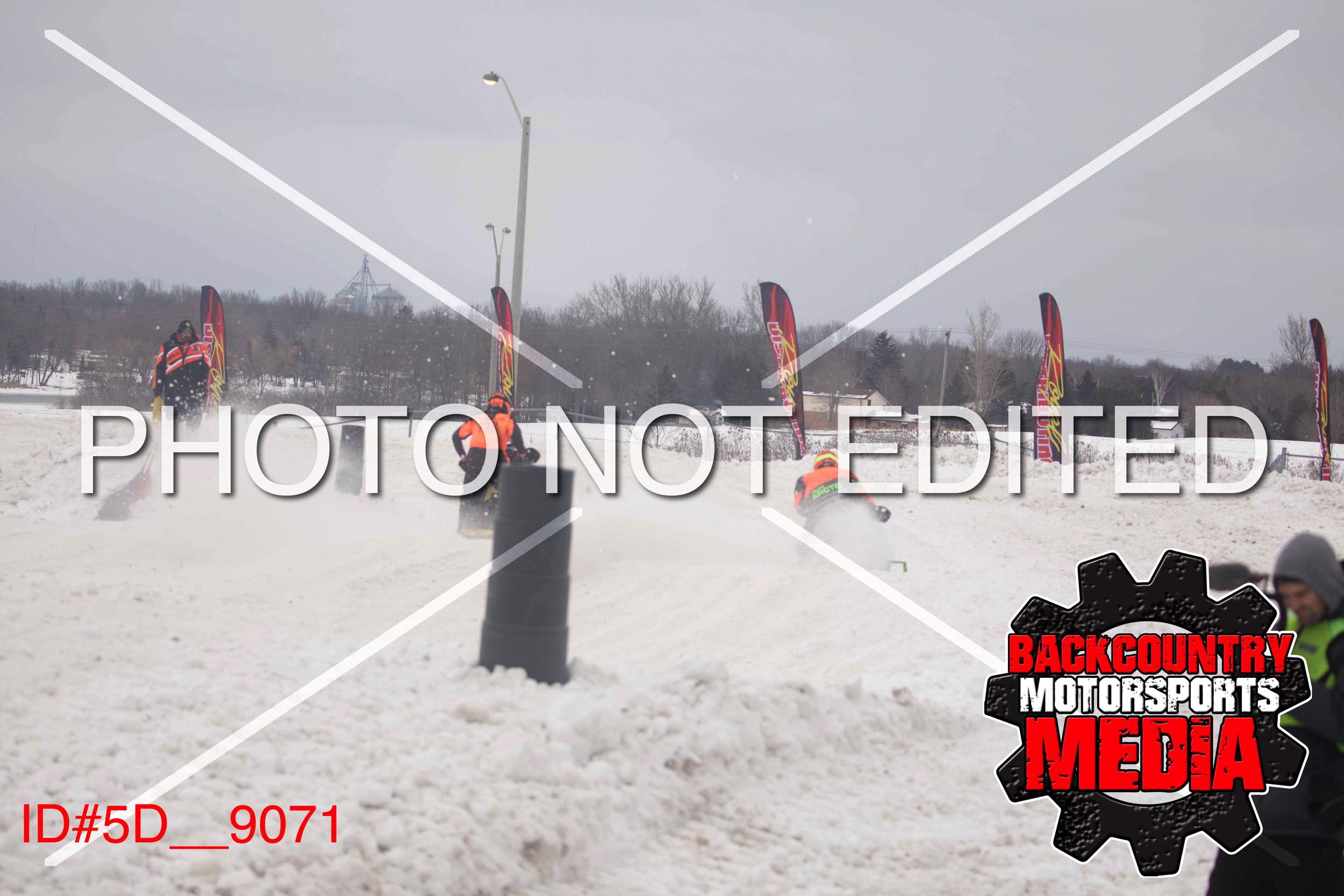 5D__9071.jpg