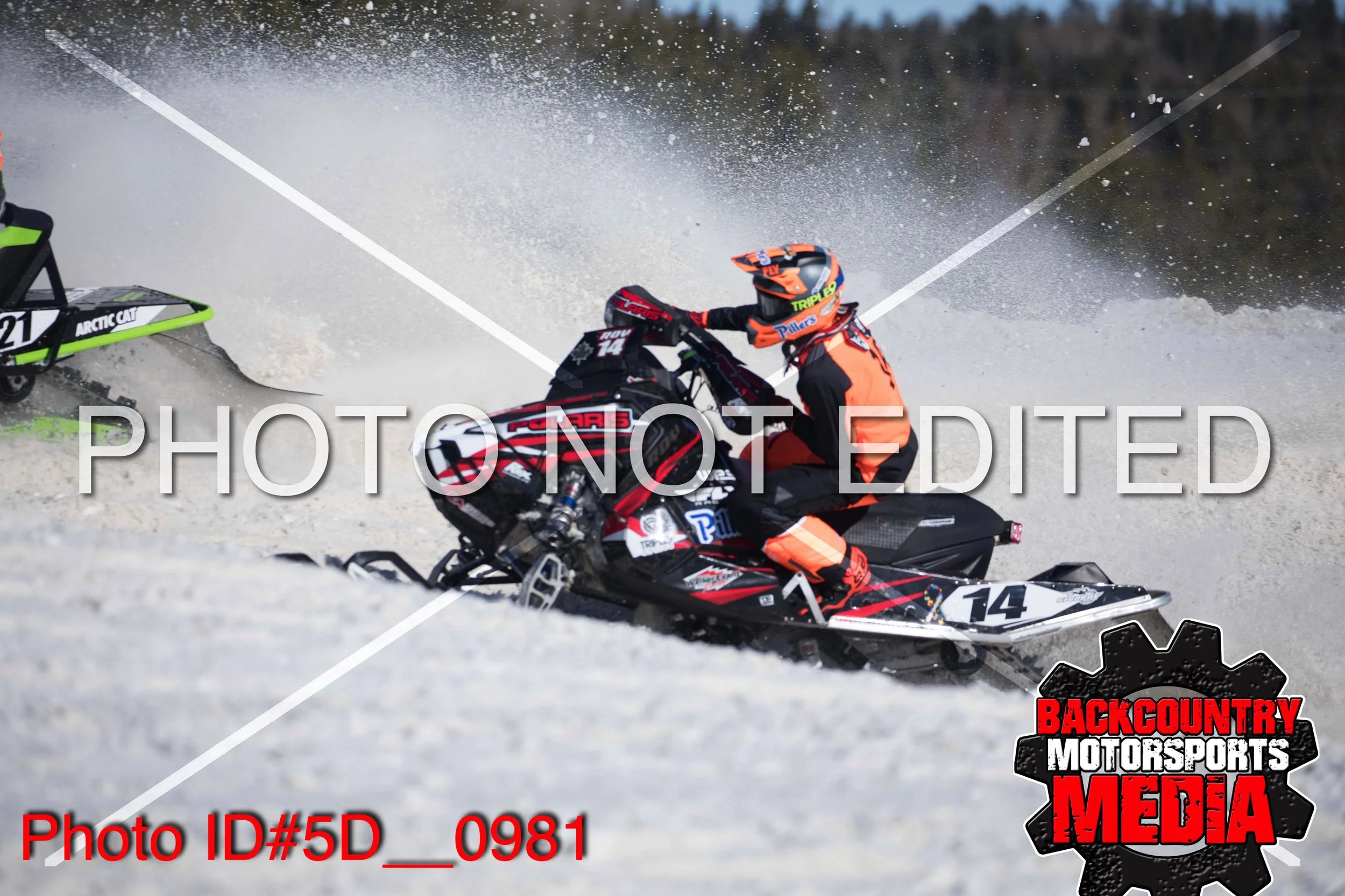 5D__0981.jpg