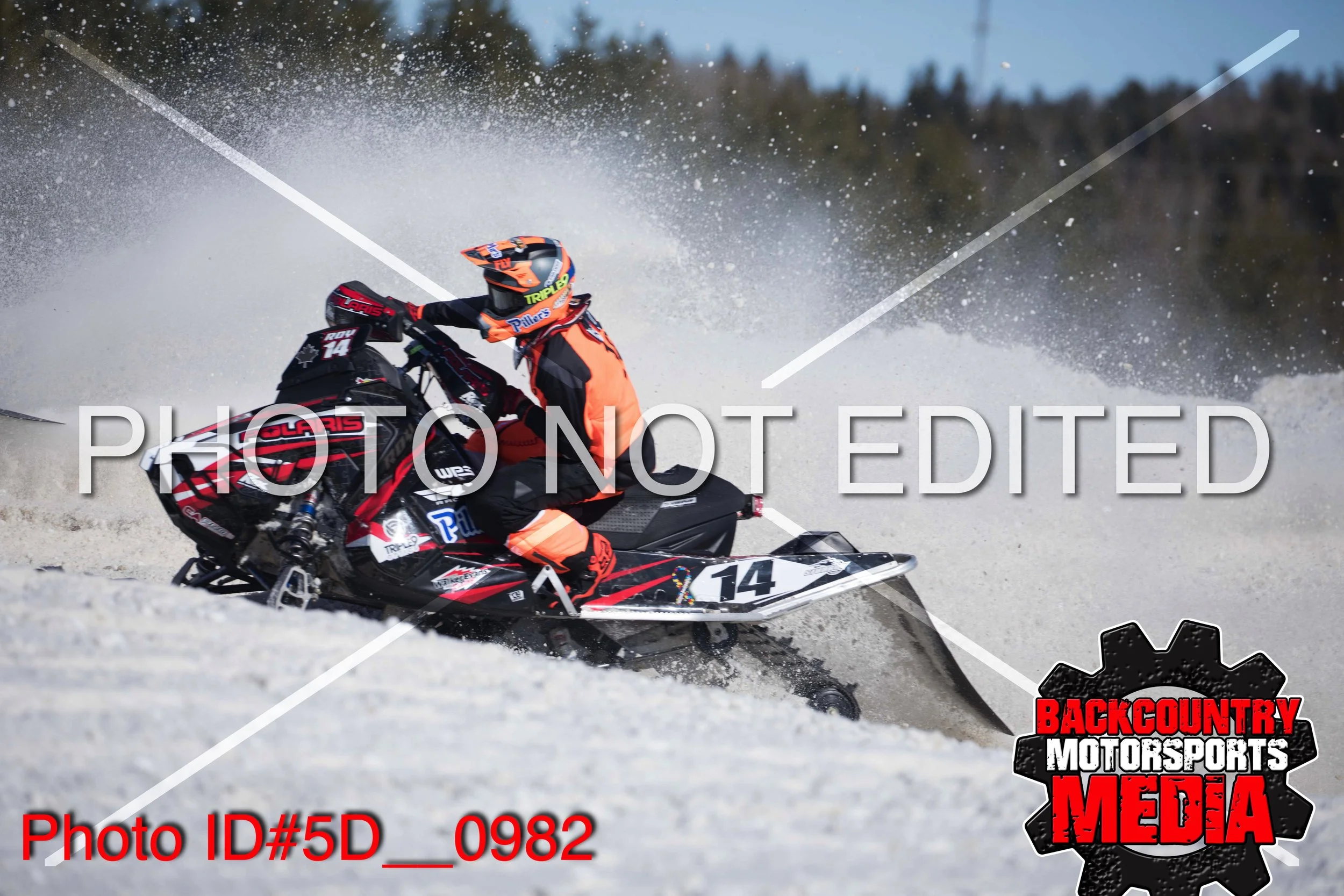 5D__0982.jpg
