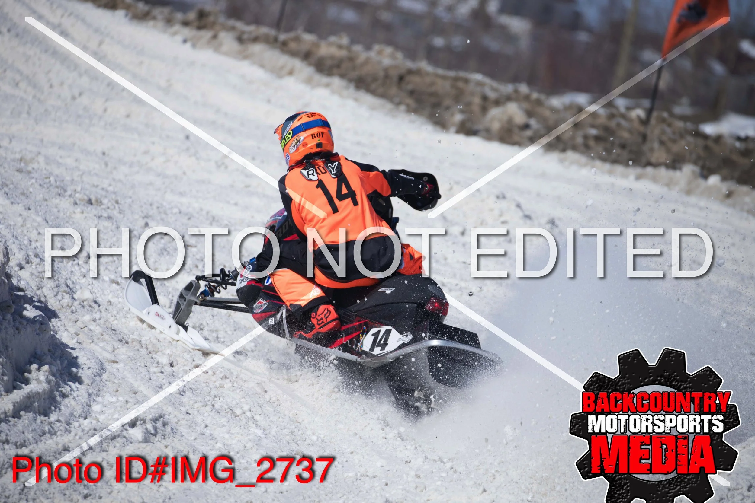 IMG_2737.jpg