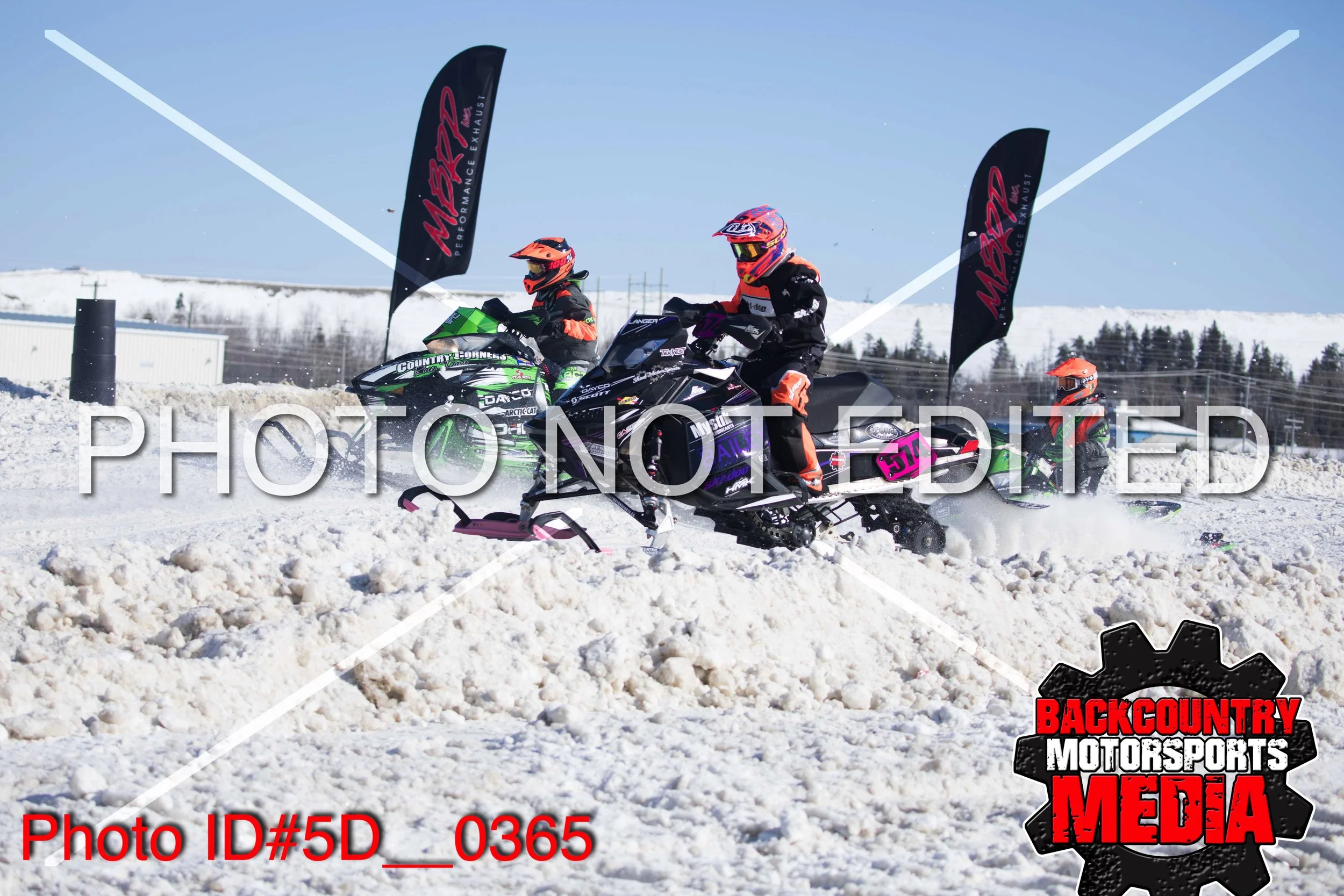5D__0365.jpg
