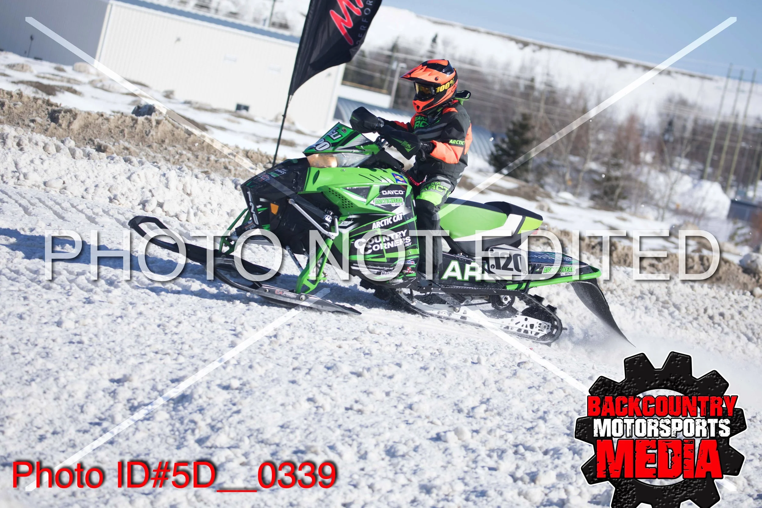 5D__0339.jpg