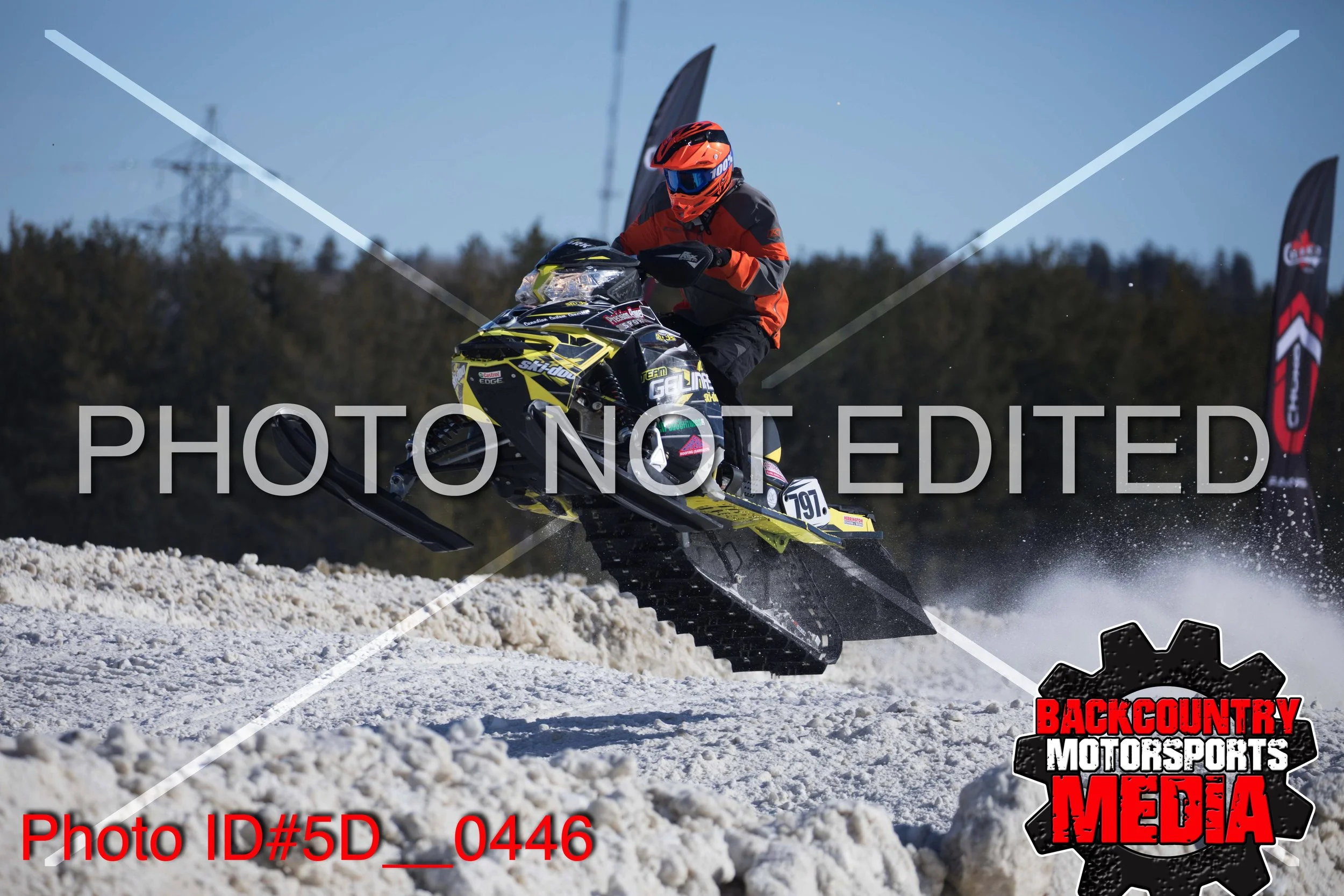 5D__0446.jpg