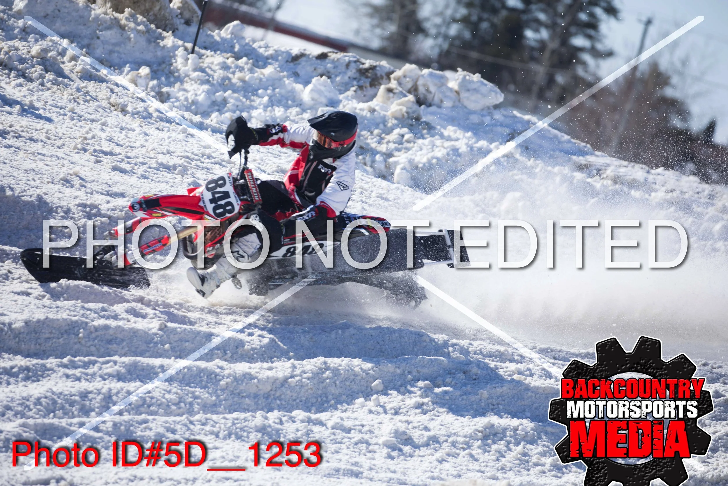 5D__1253.jpg