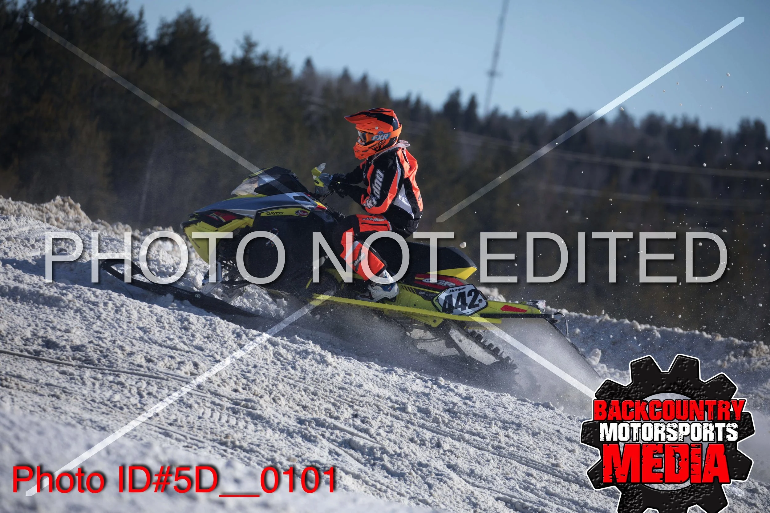 5D__0101.jpg