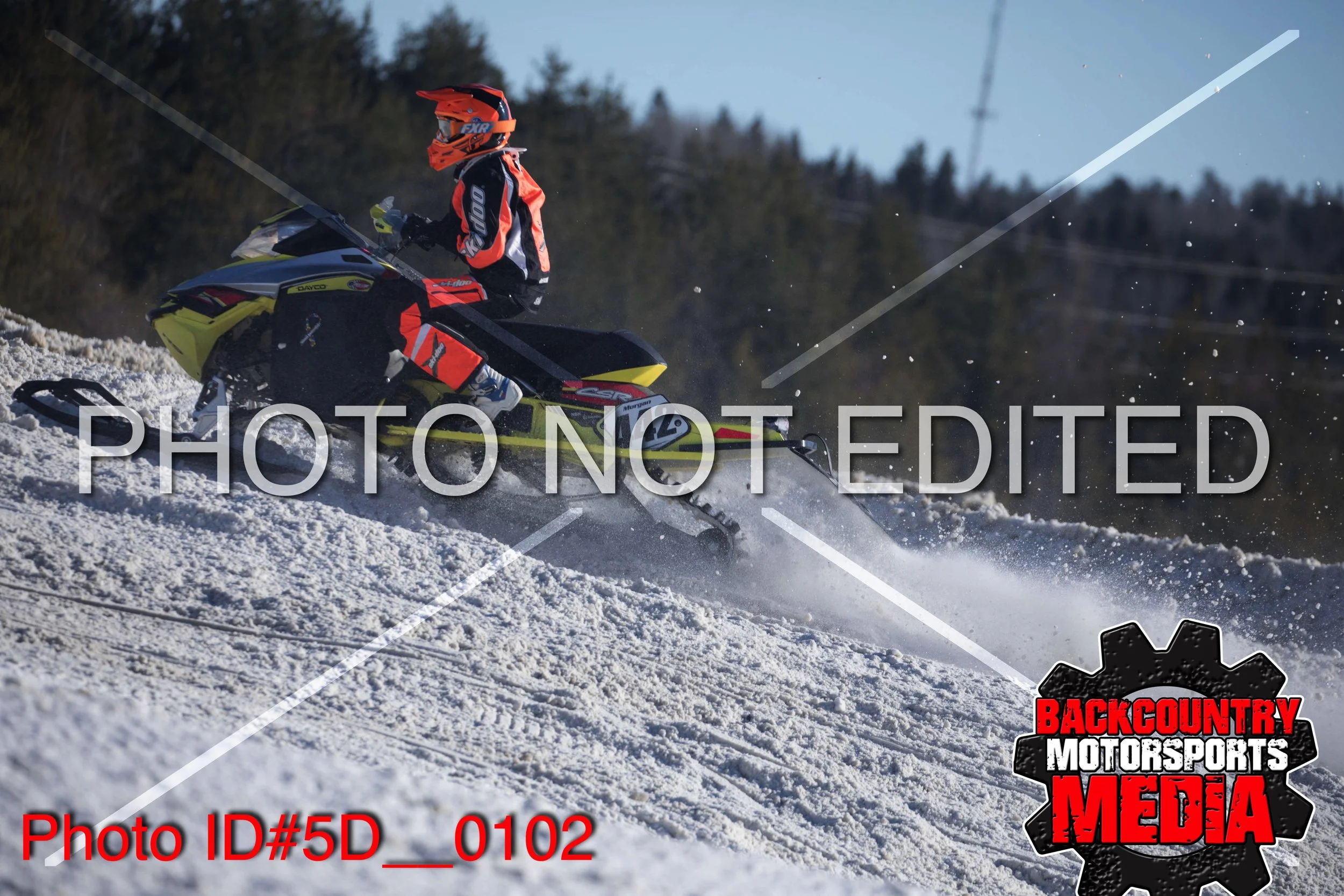 5D__0102.jpg