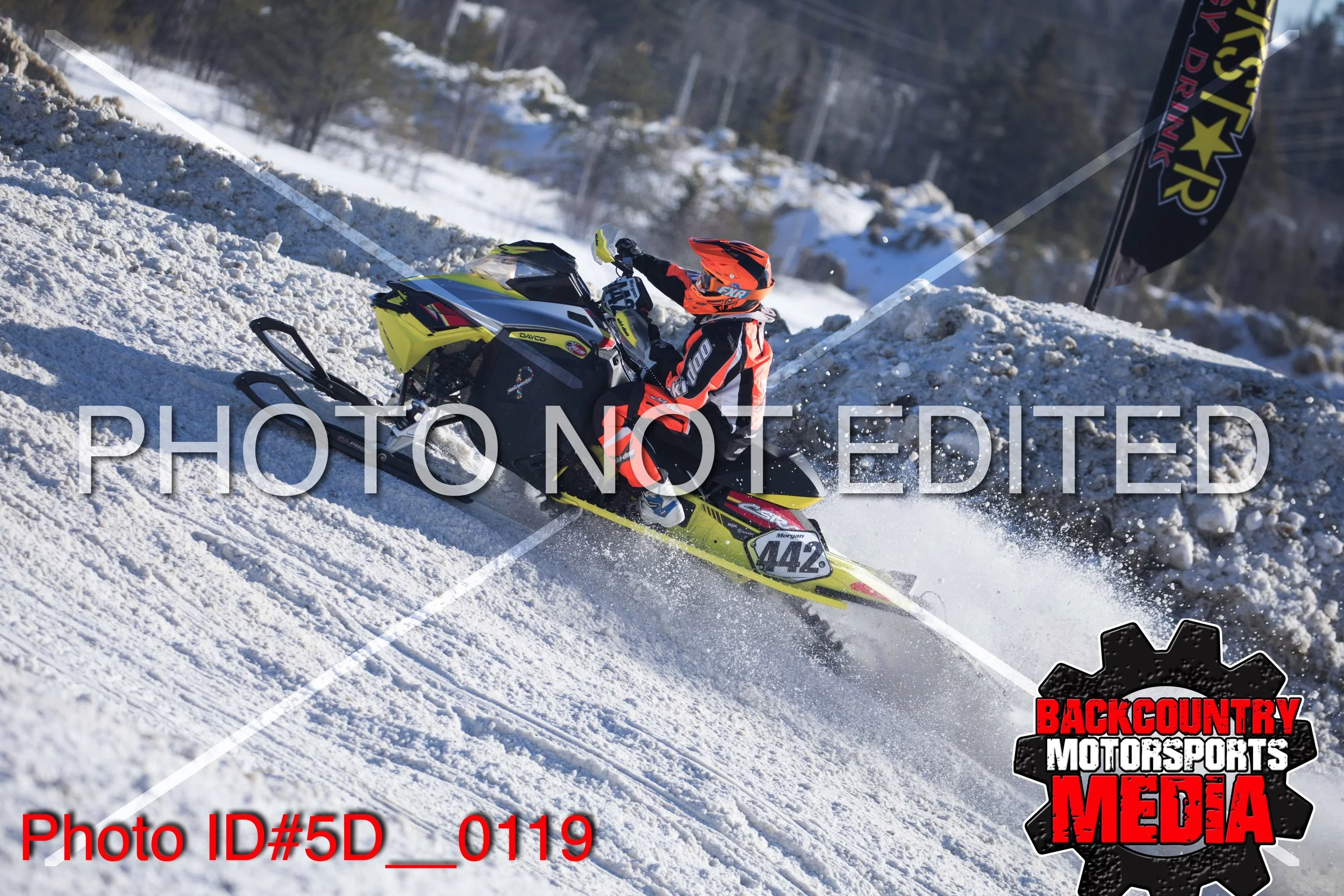 5D__0119.jpg