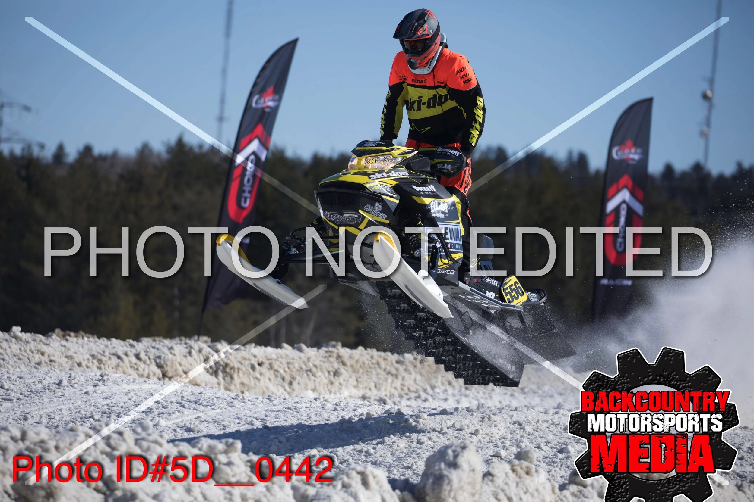 5D__0442.jpg