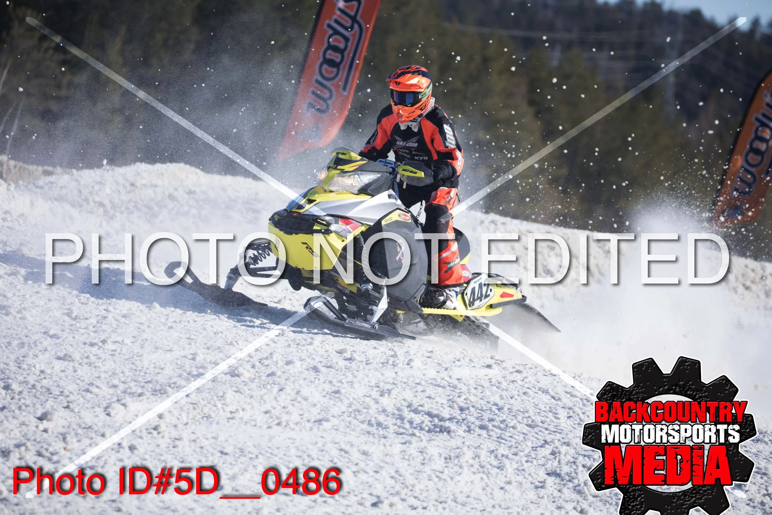 5D__0486.jpg