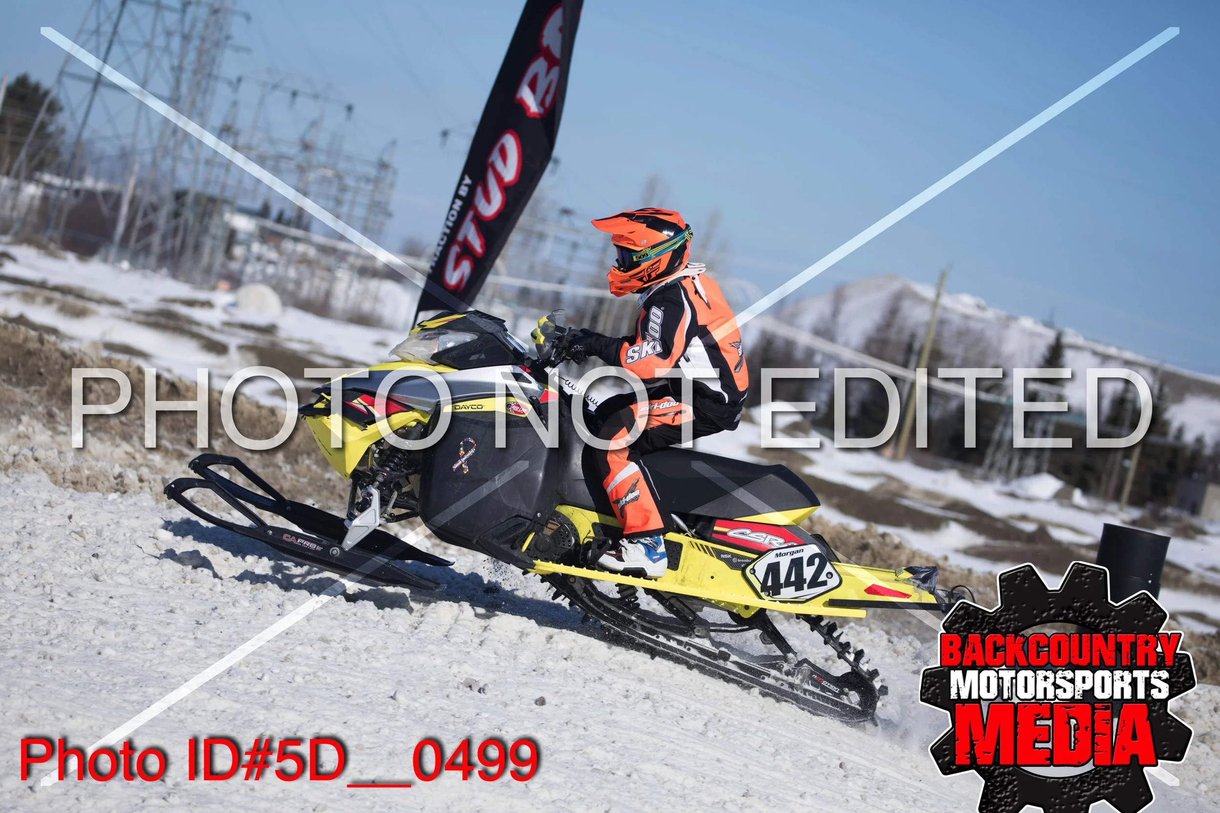 5D__0499.jpg