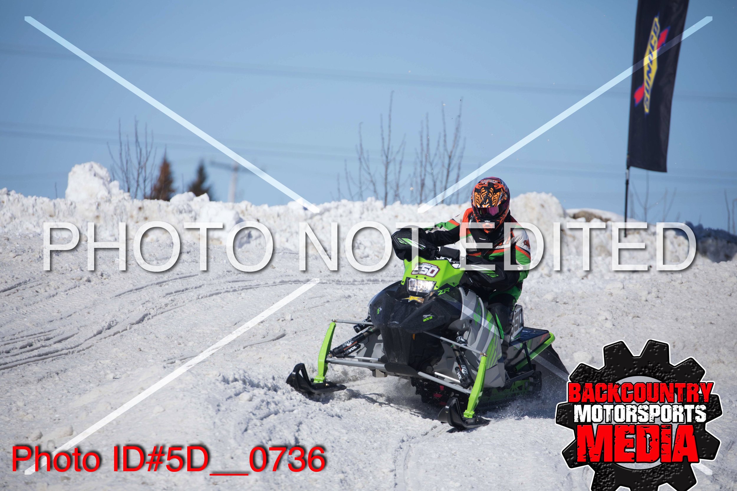 5D__0736.jpg