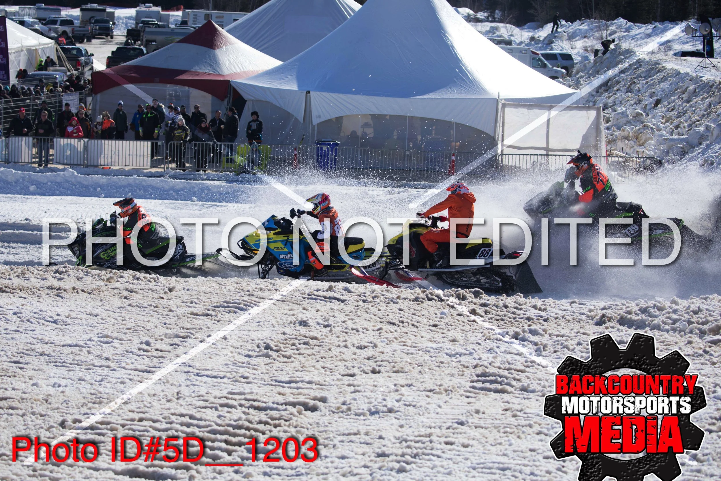 5D__1203.jpg