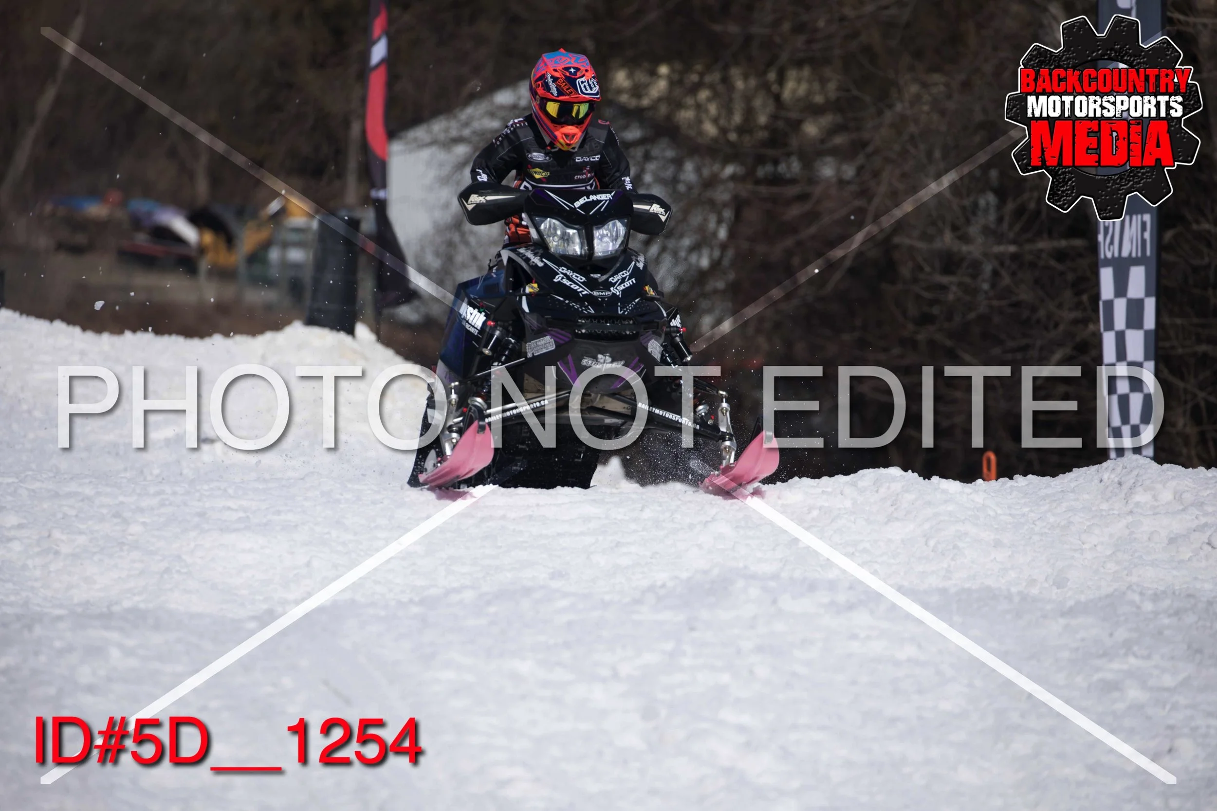 5D__1254.jpg