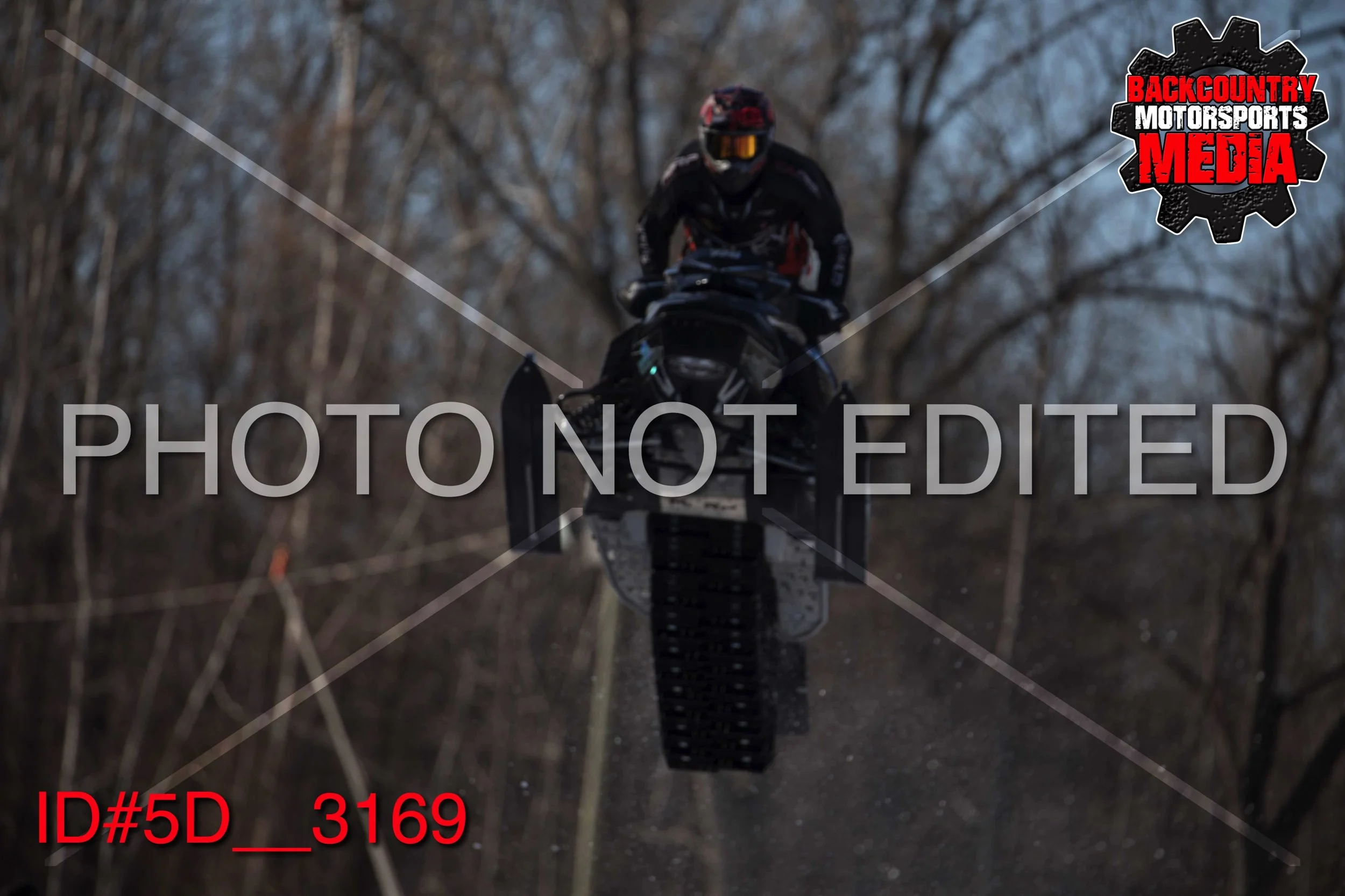 5D__3169.jpg
