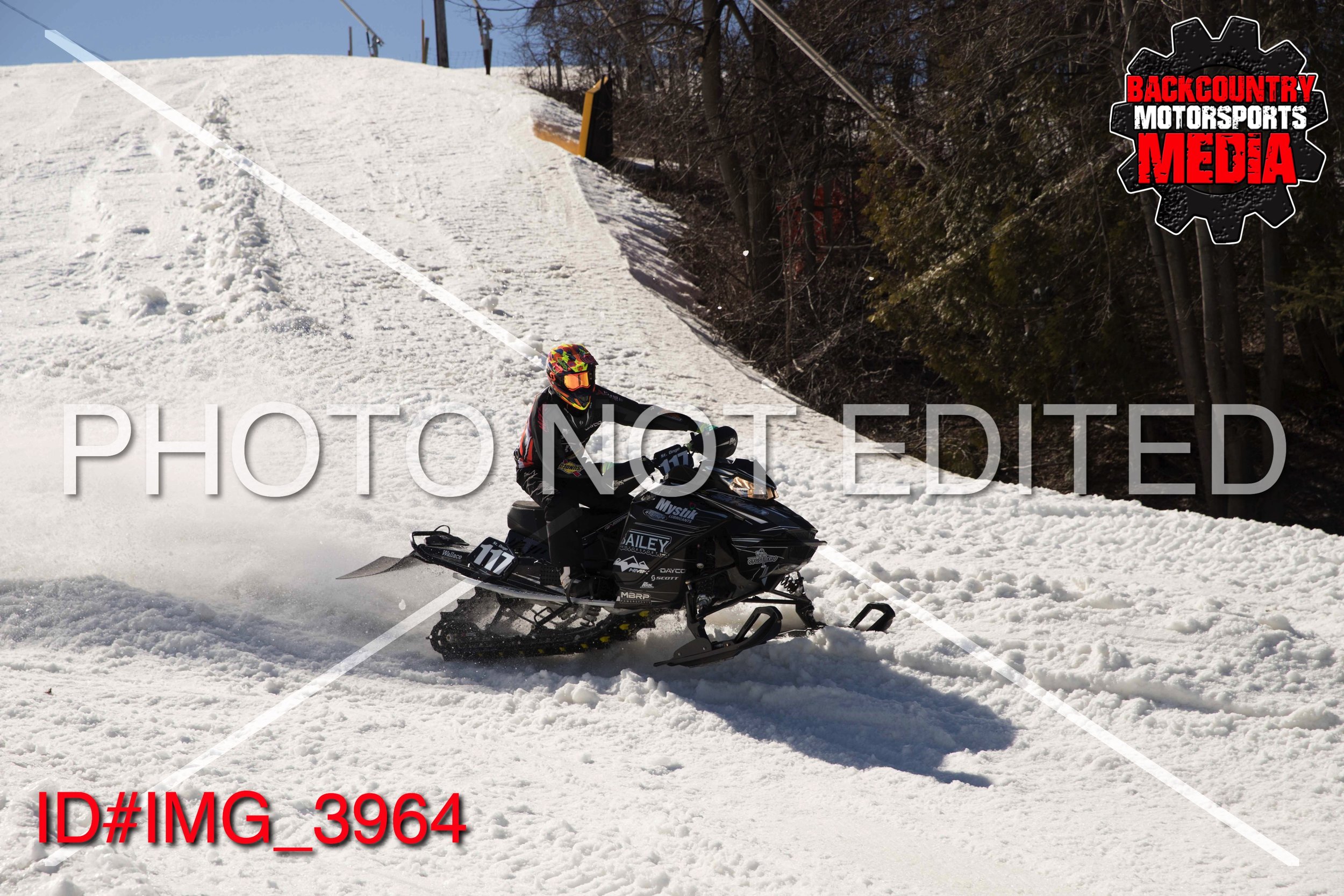 IMG_3964.jpg