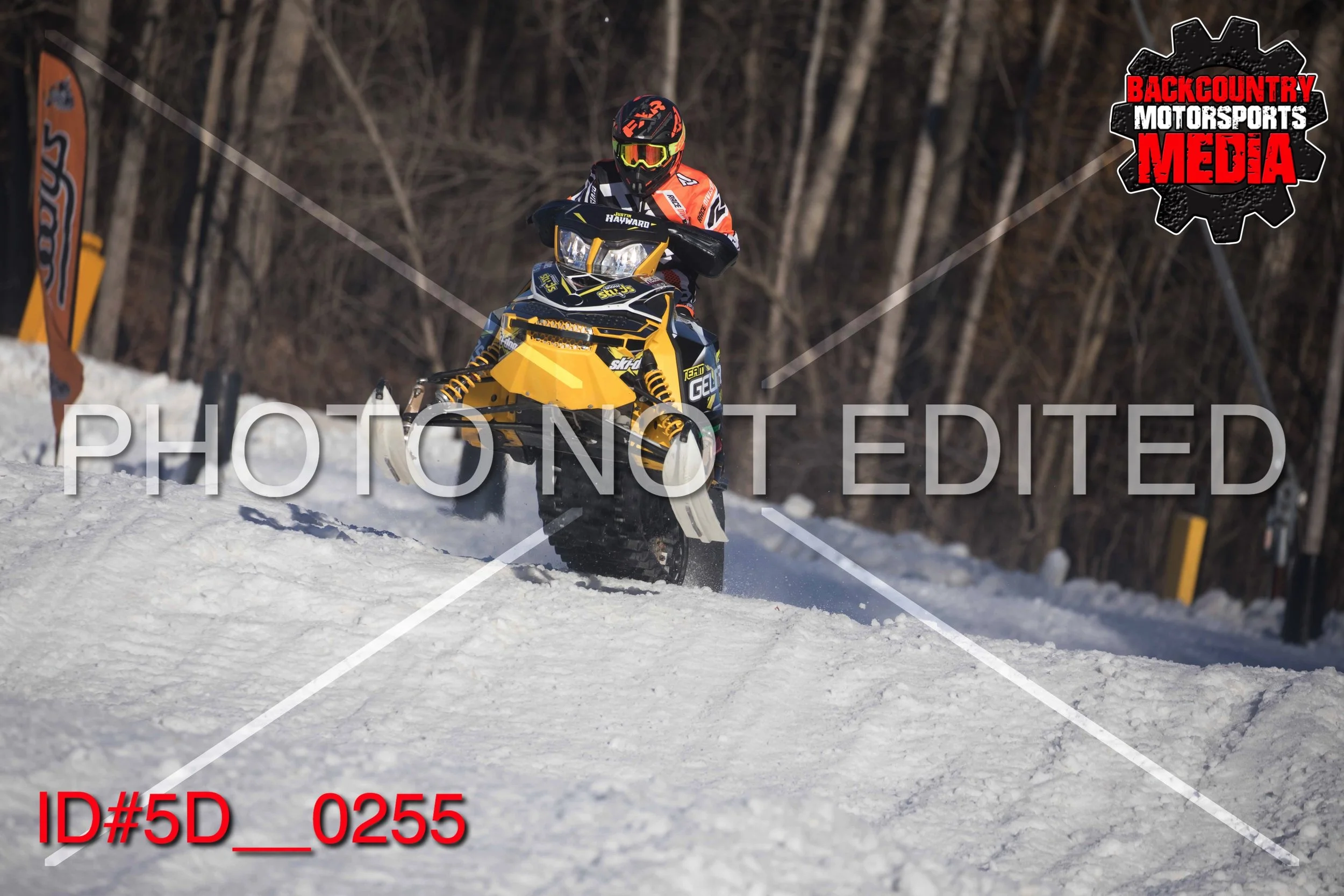 5D__0255.jpg