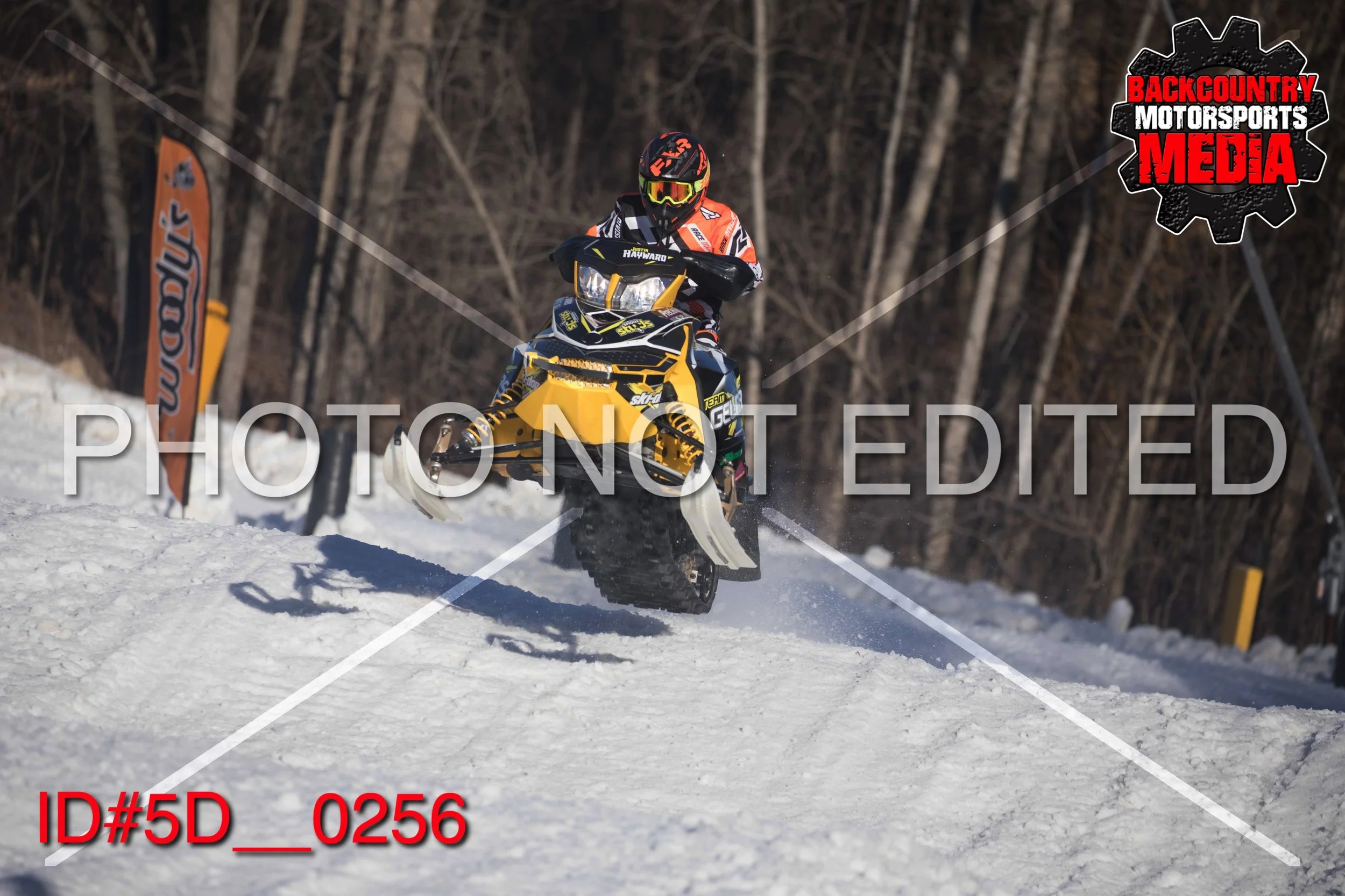 5D__0256.jpg