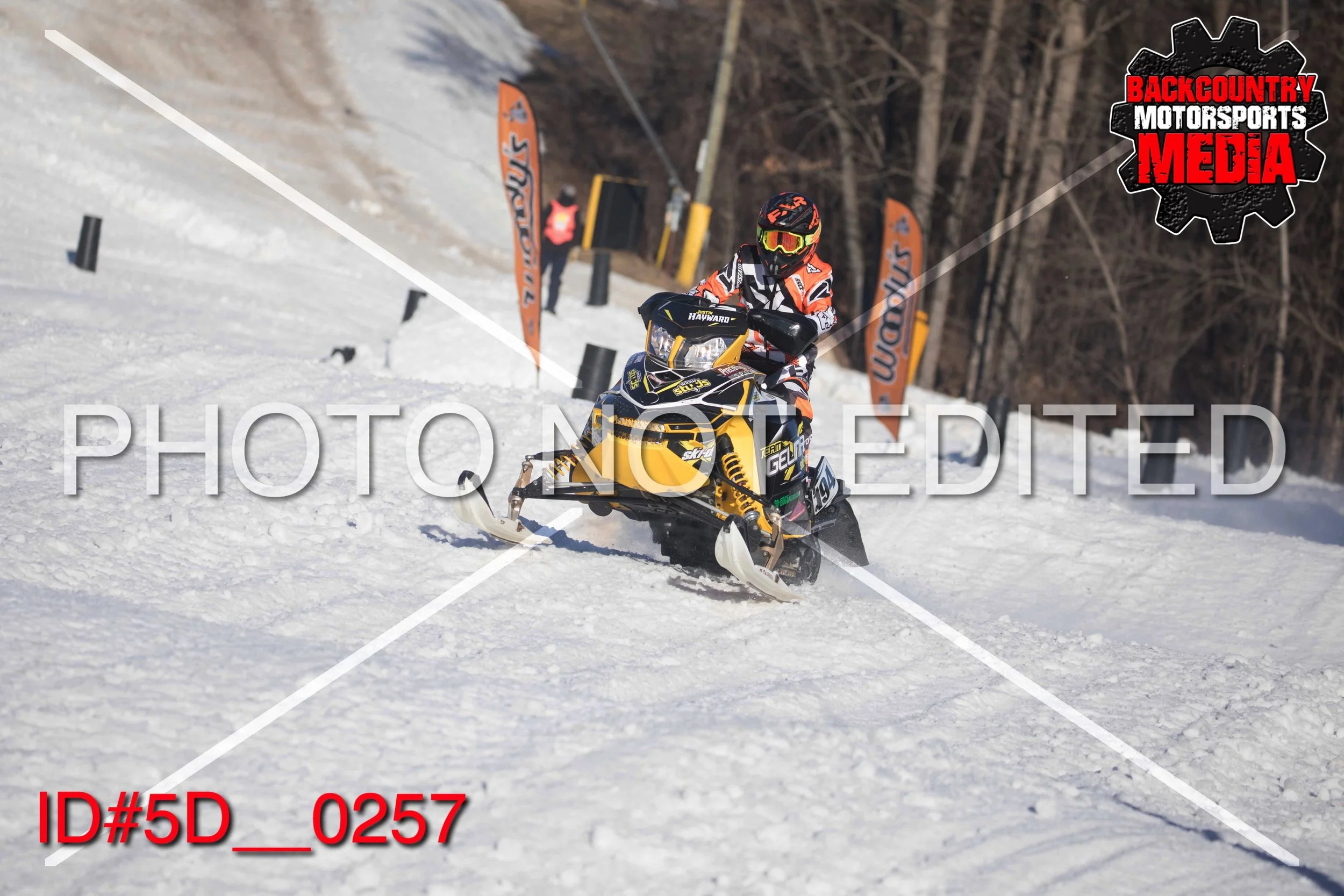 5D__0257.jpg