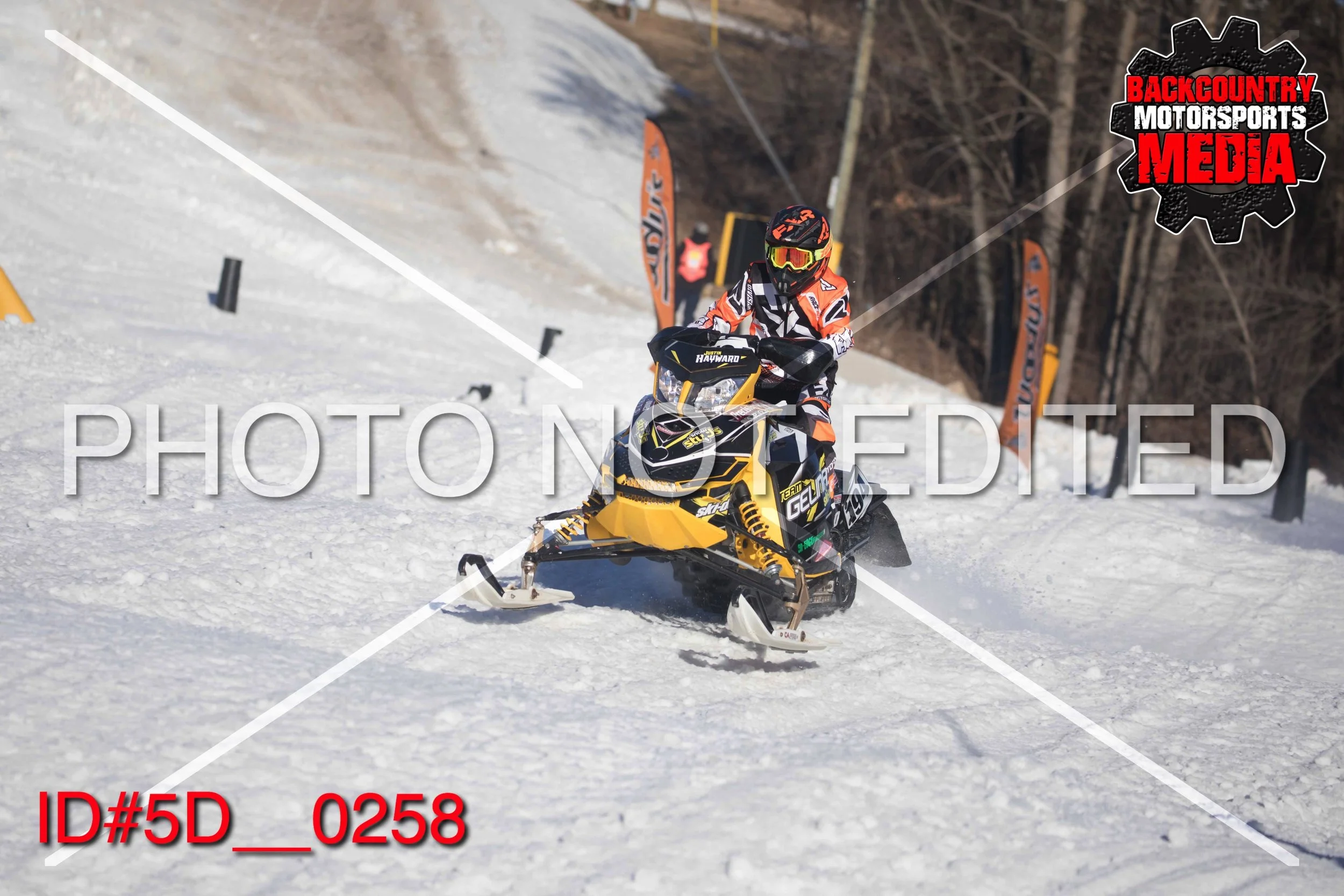 5D__0258.jpg