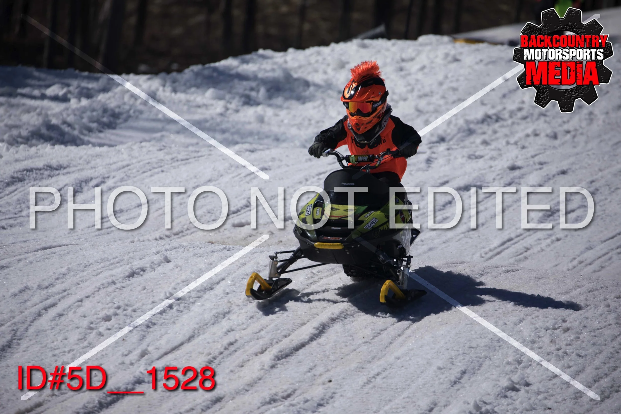 5D__1528.jpg