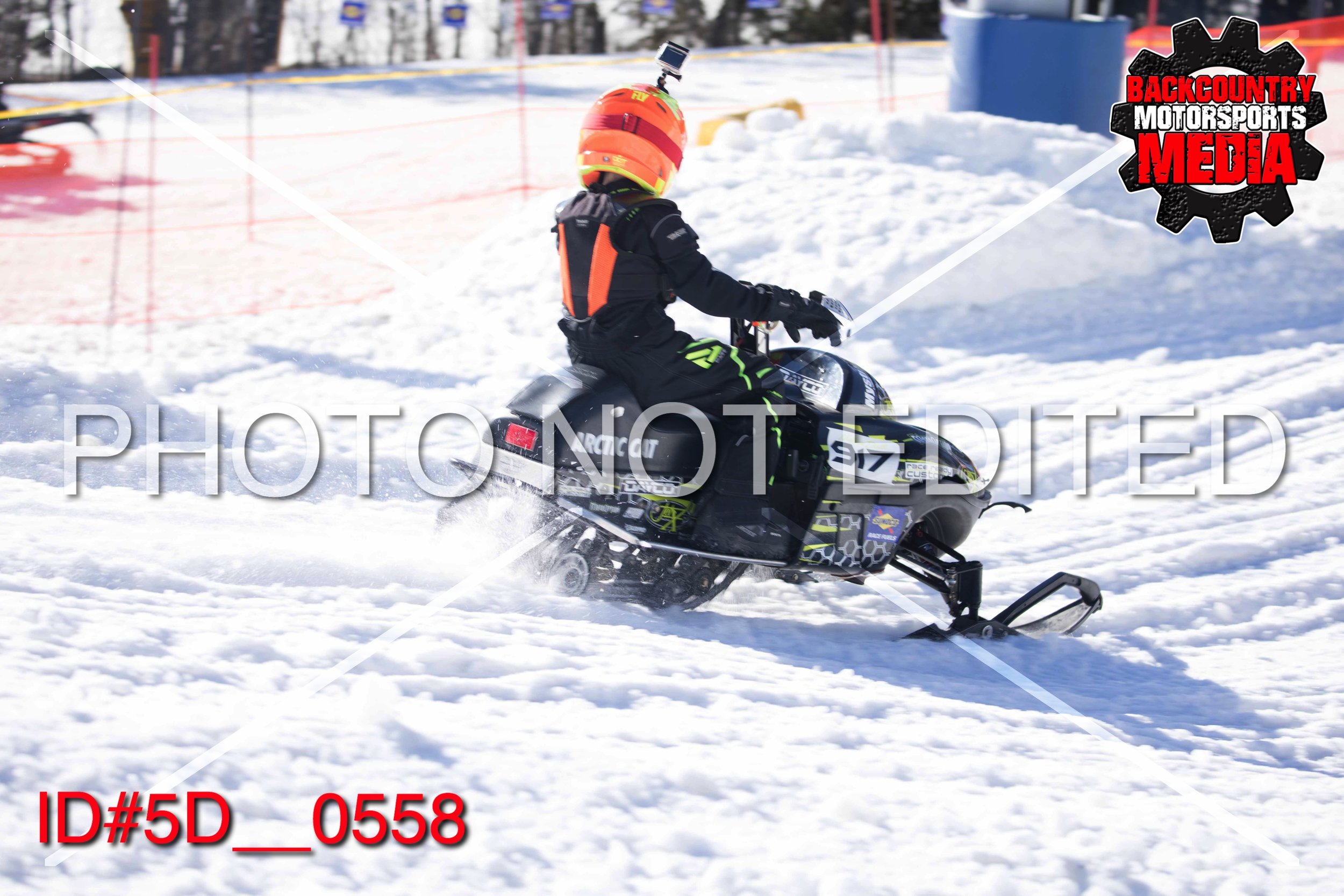 5D__0558.jpg