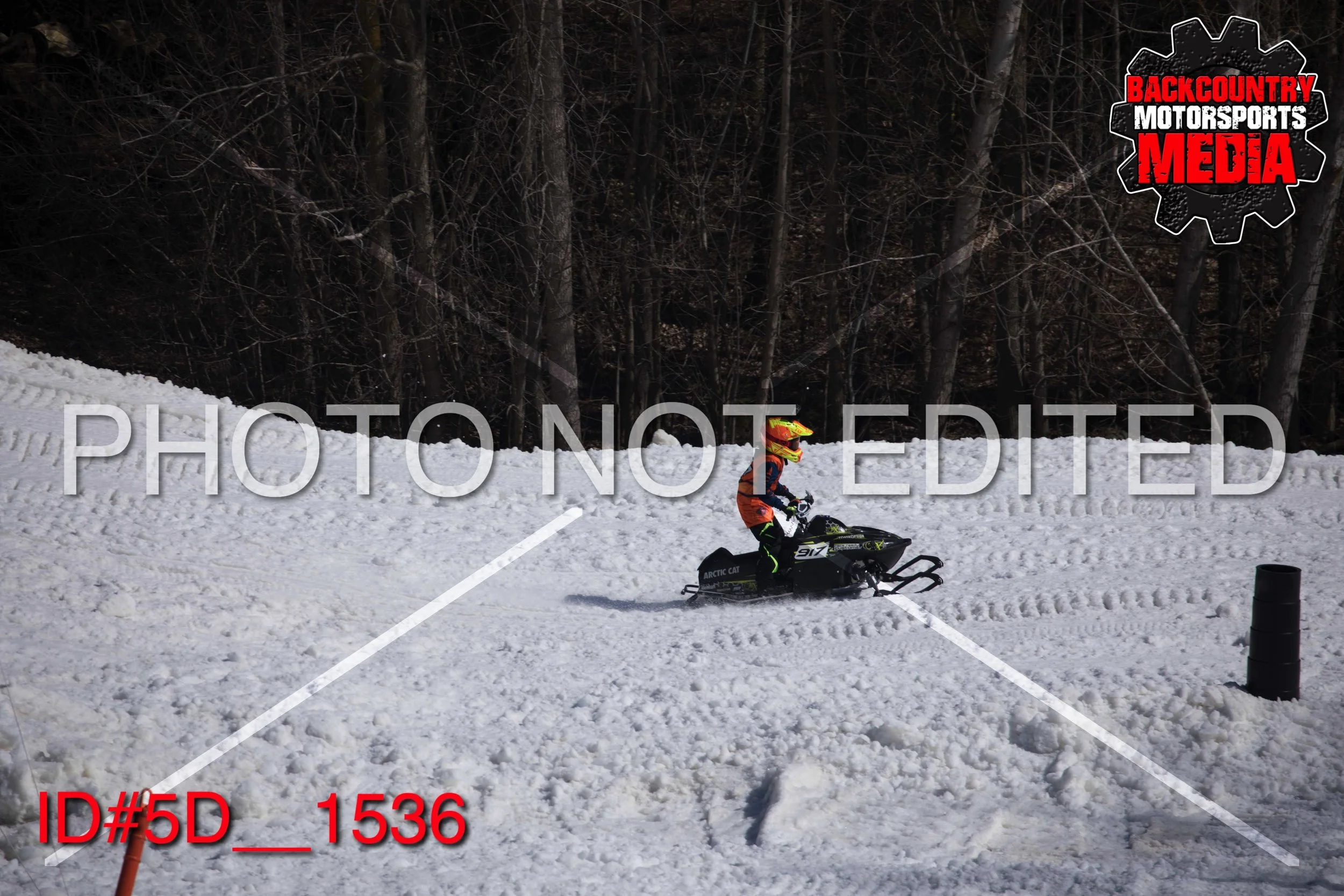 5D__1536.jpg