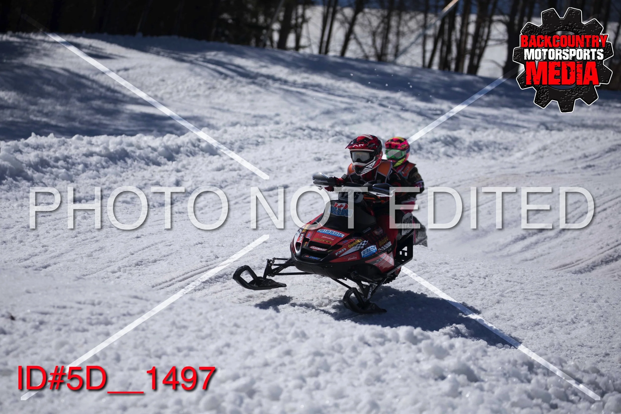 5D__1497.jpg