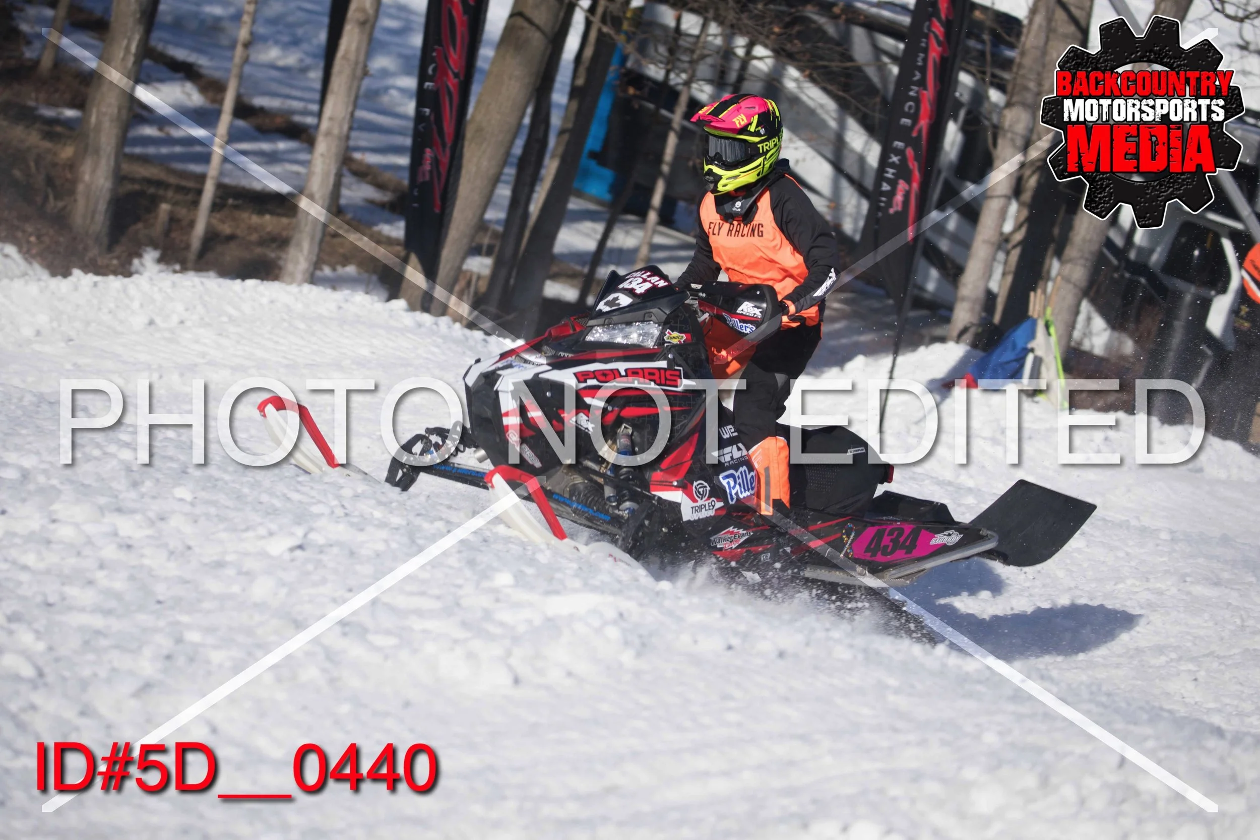 5D__0440.jpg