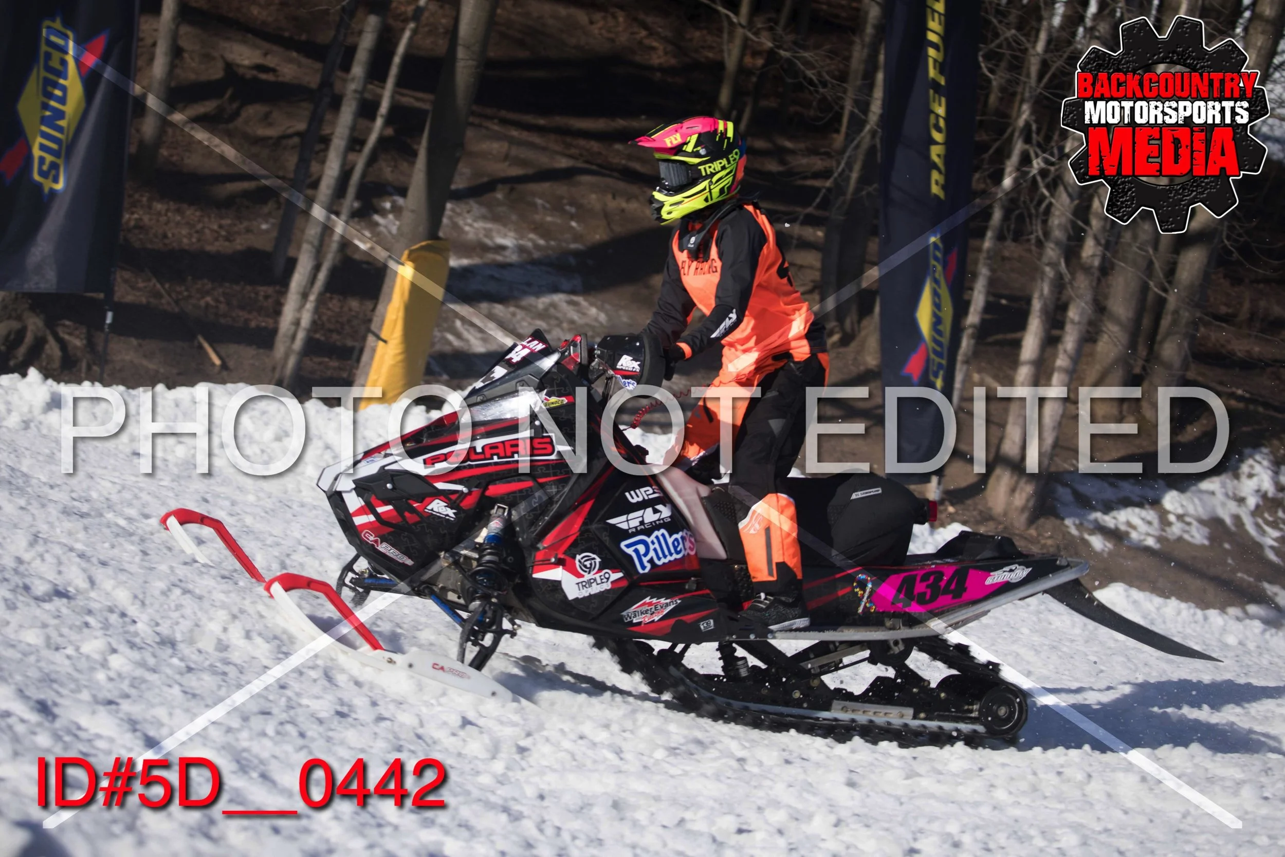 5D__0442.jpg
