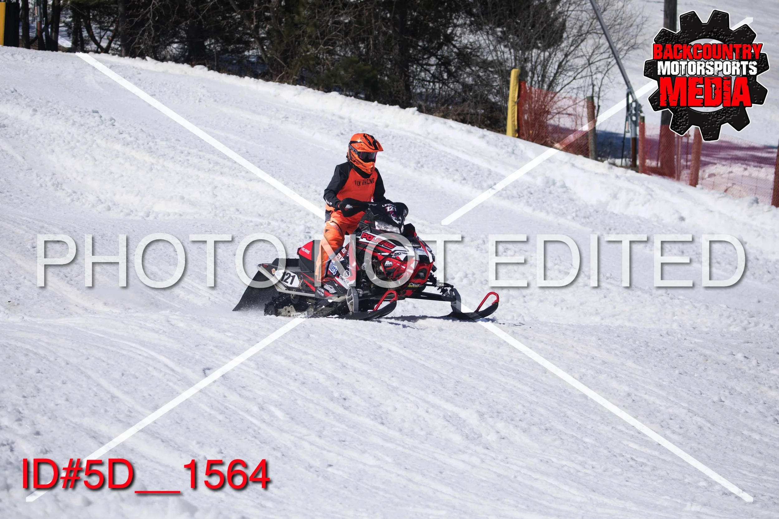5D__1564.jpg