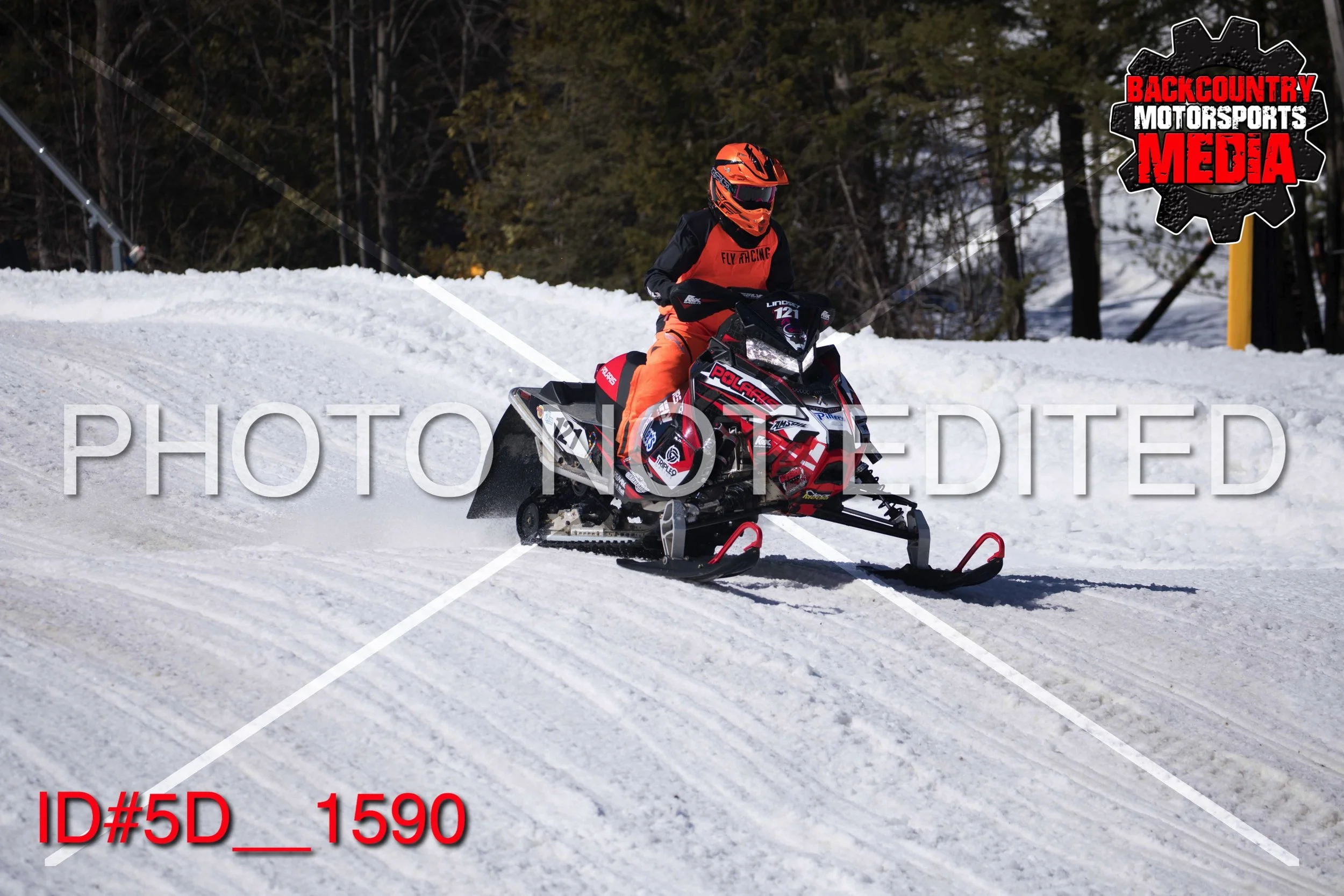 5D__1590.jpg