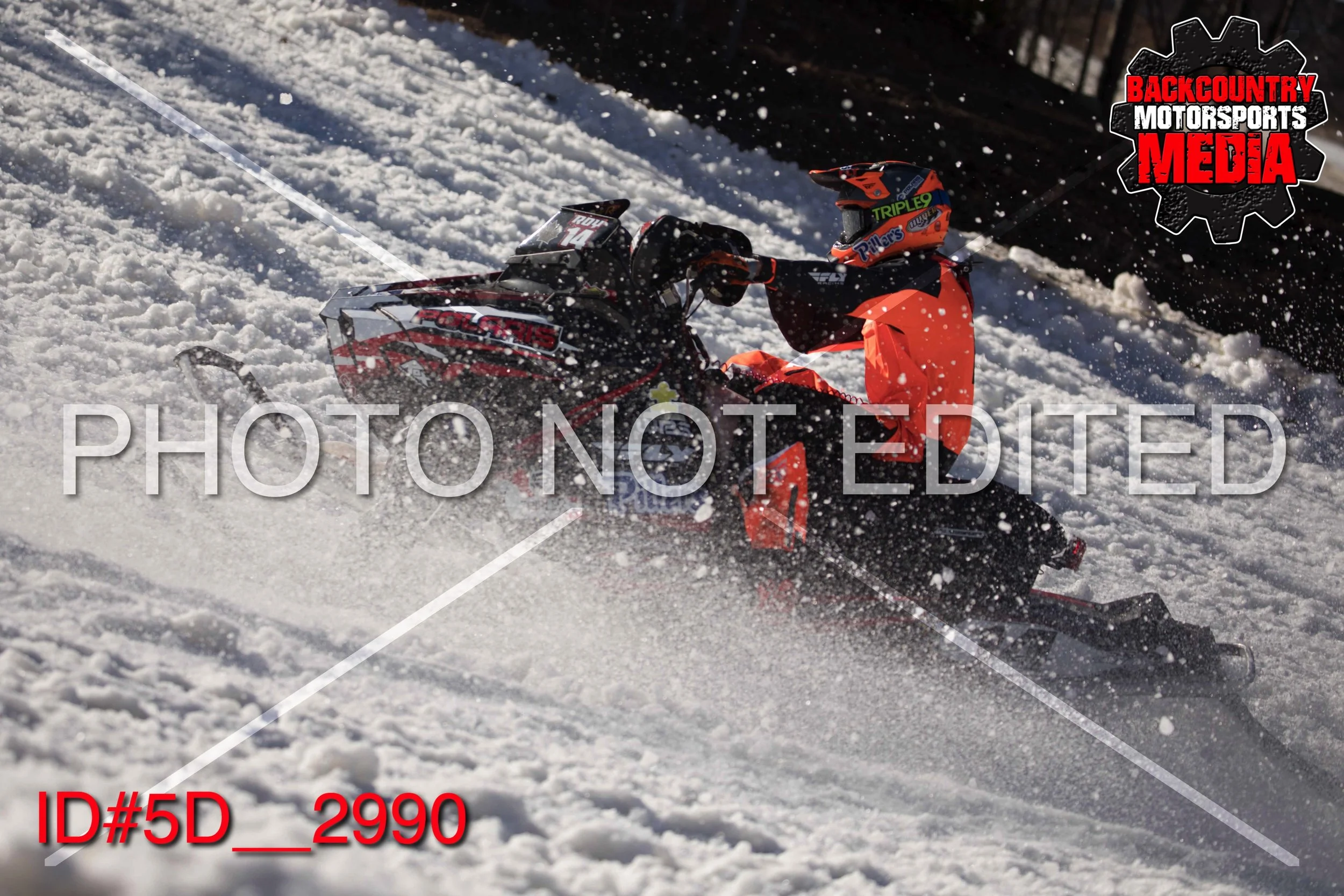 5D__2990.jpg