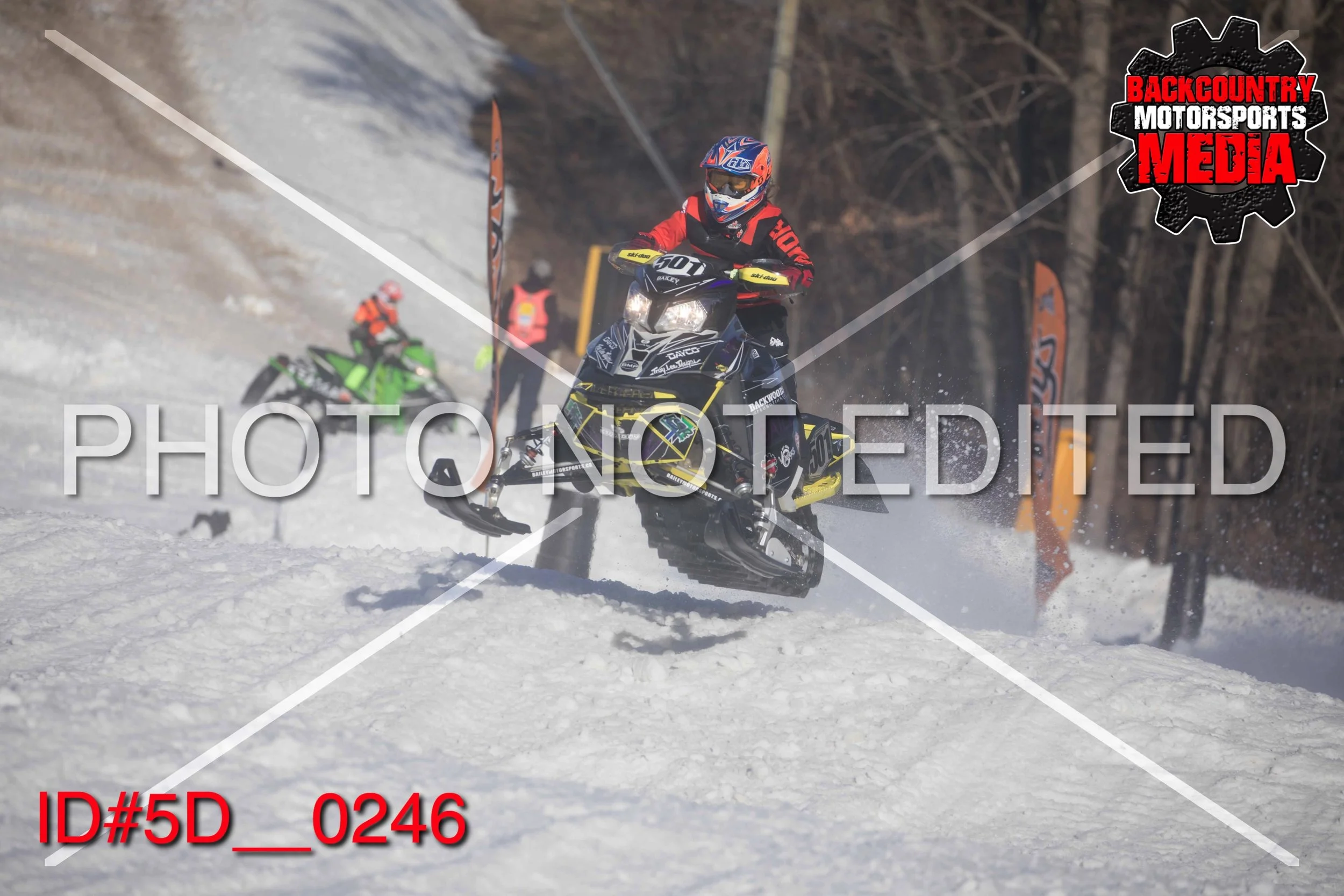 5D__0246.jpg