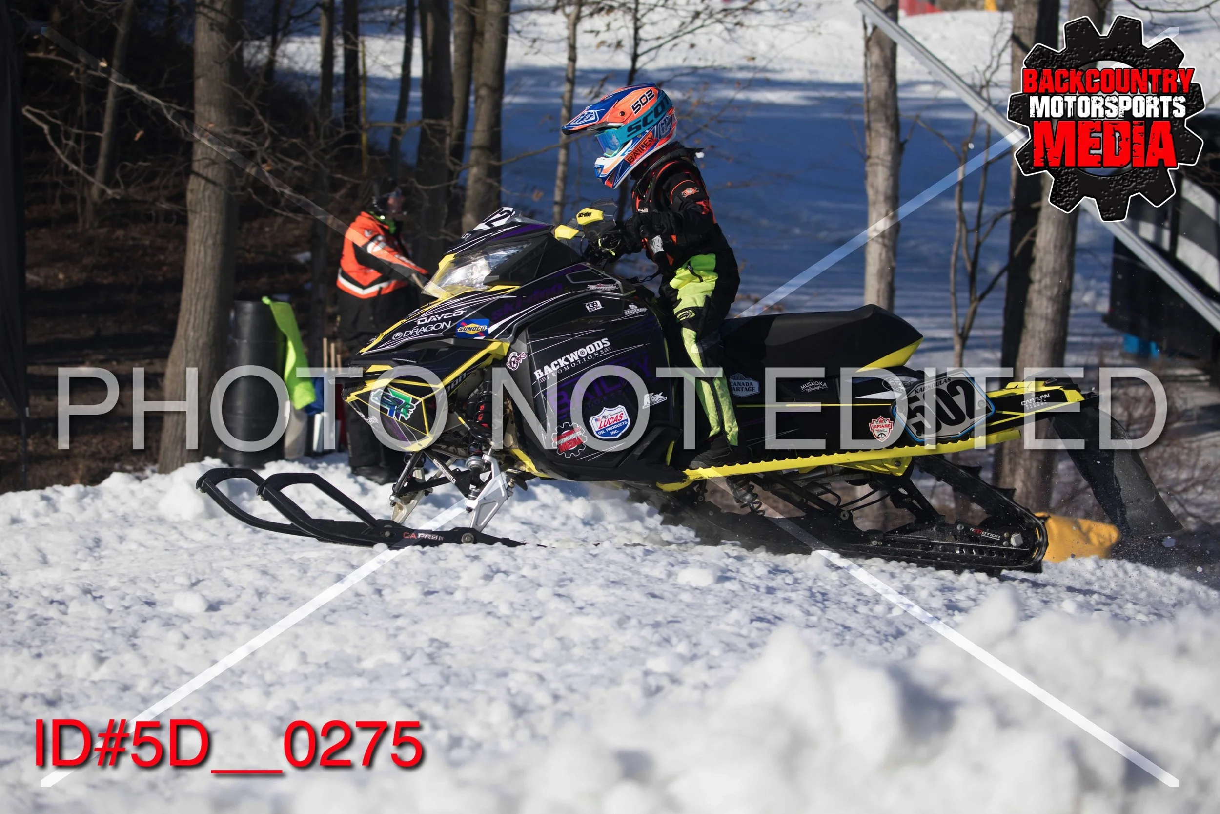5D__0275.jpg