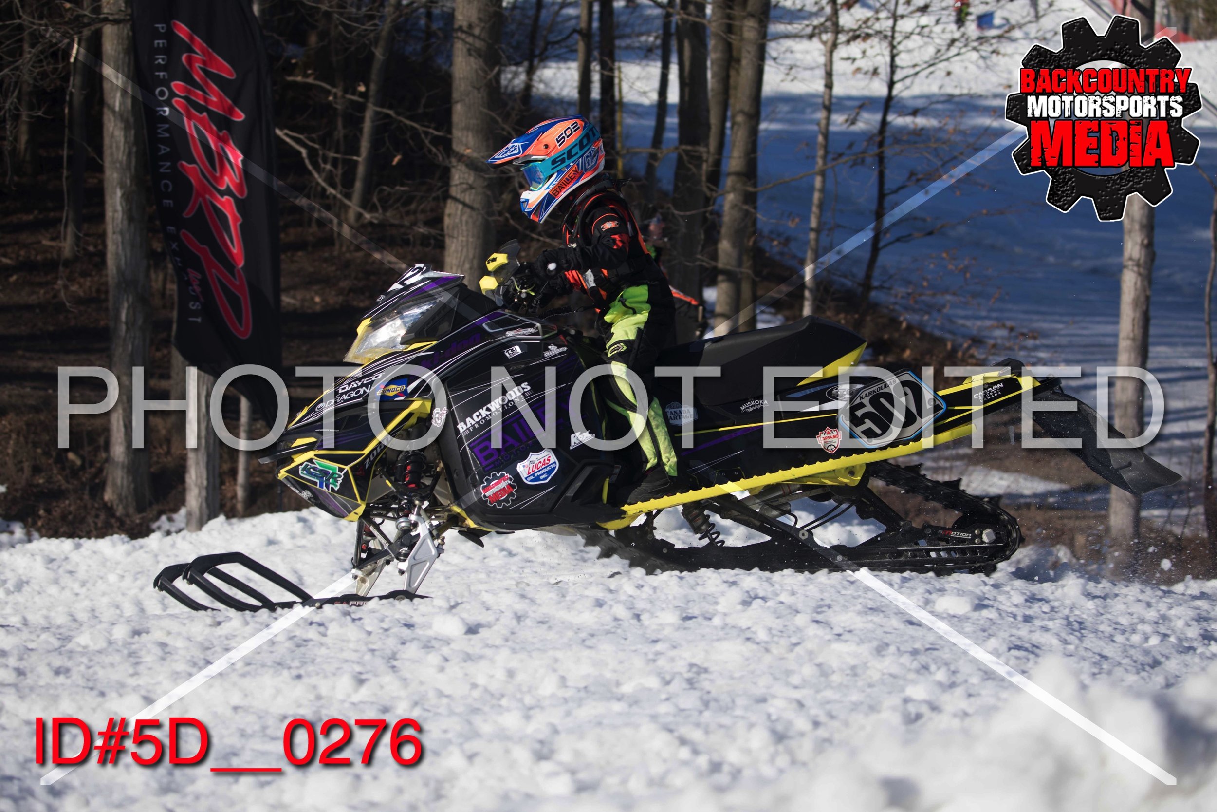 5D__0276.jpg
