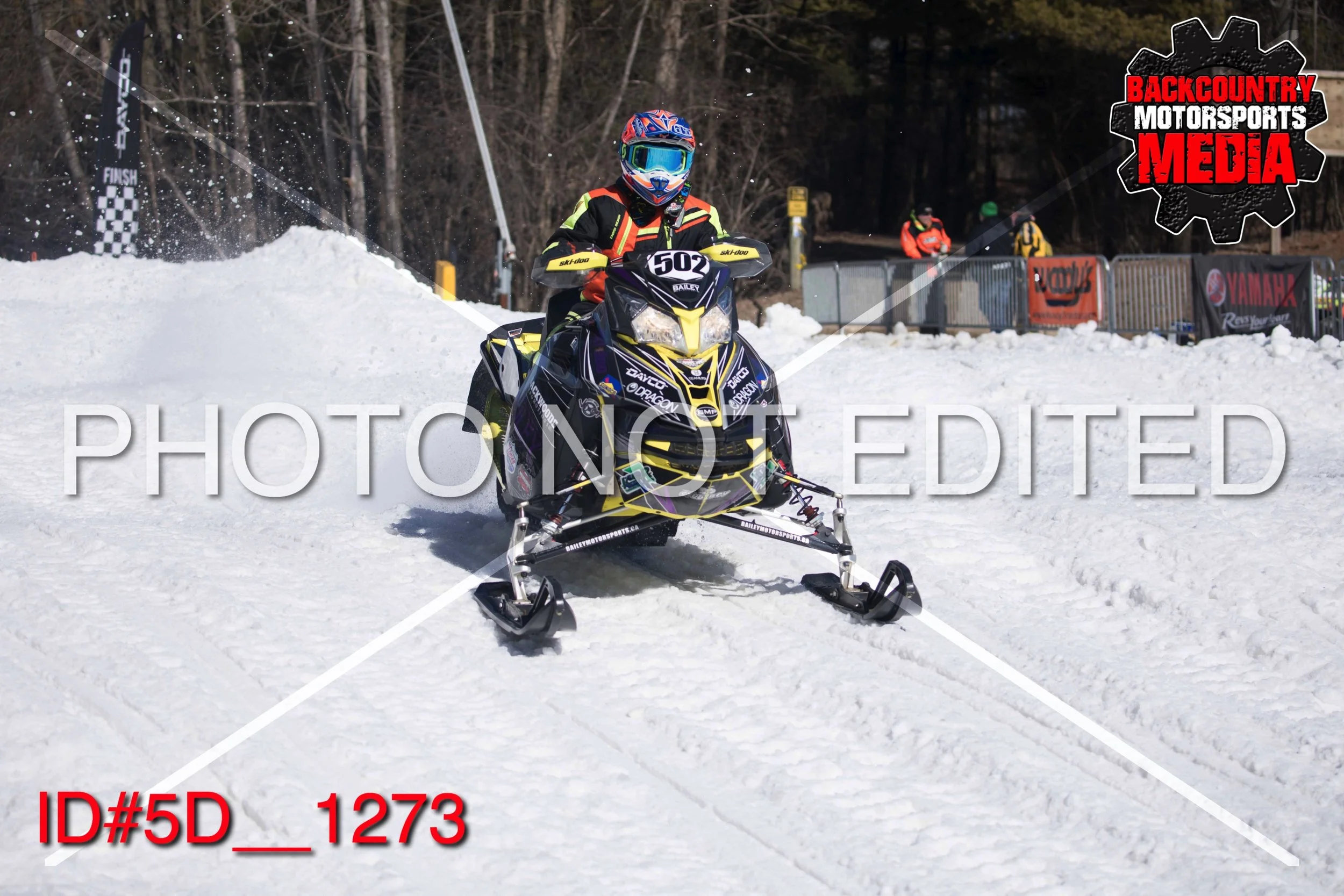 5D__1273.jpg