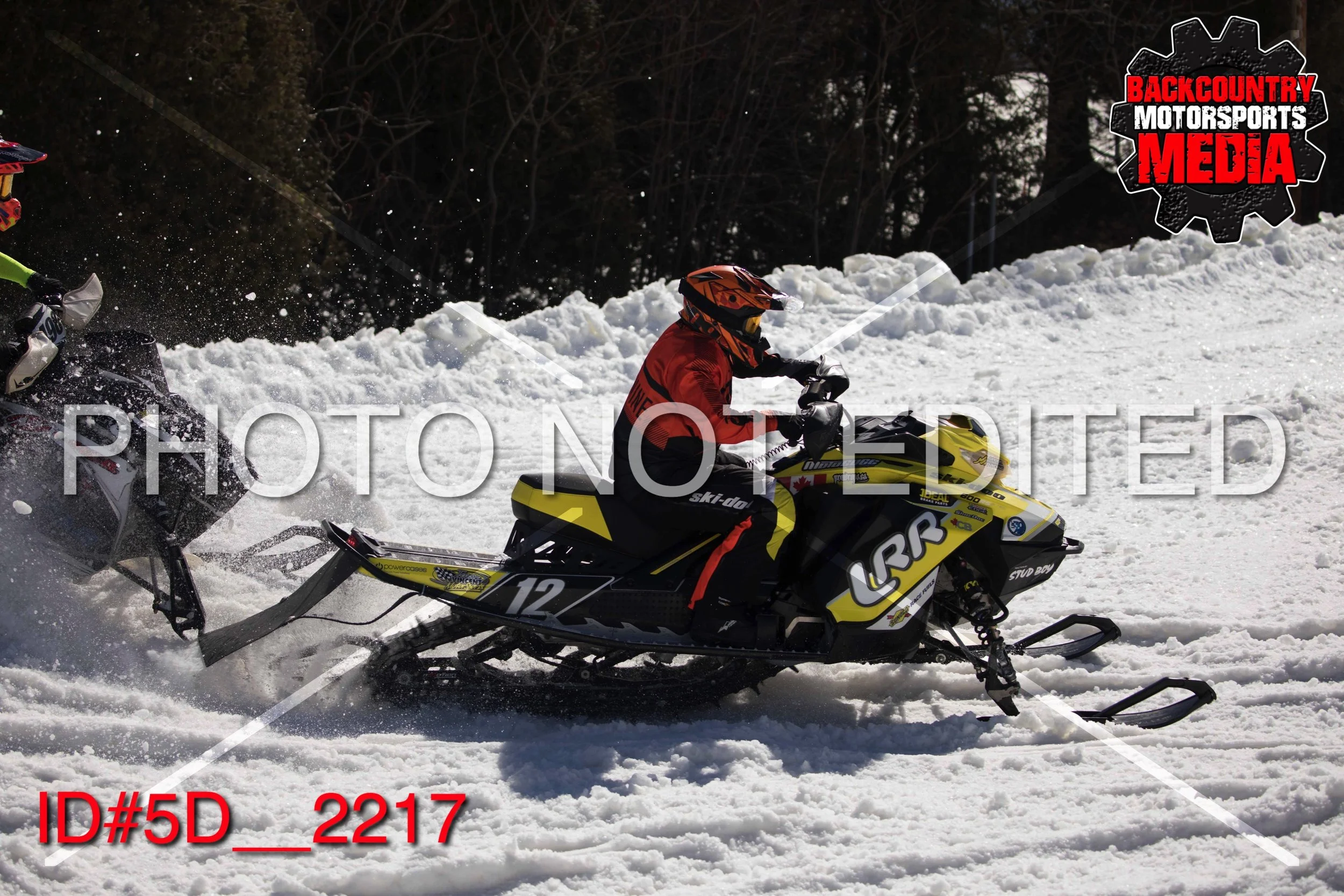 5D__2217.jpg