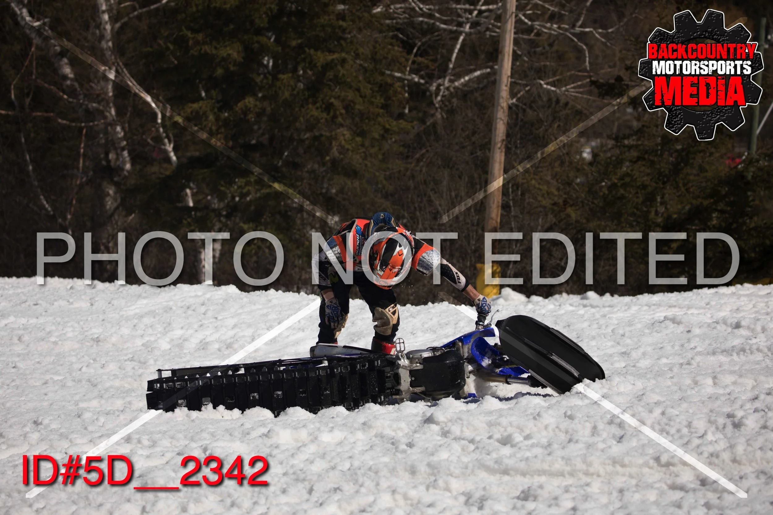 5D__2342.jpg