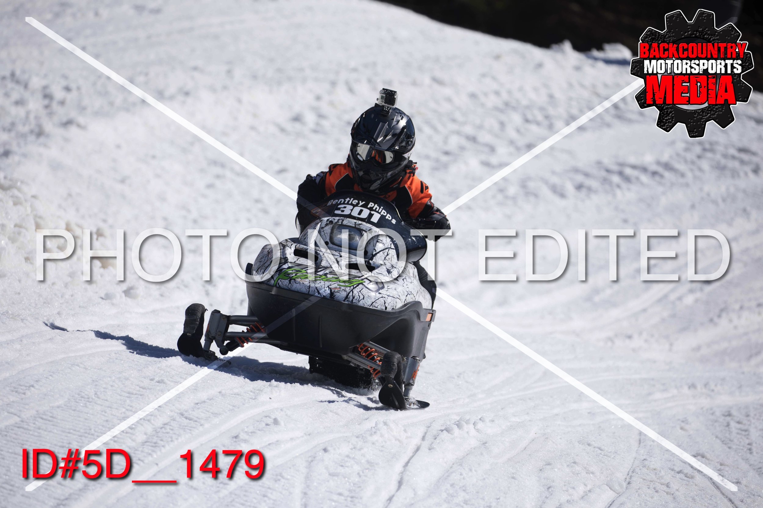 5D__1479.jpg