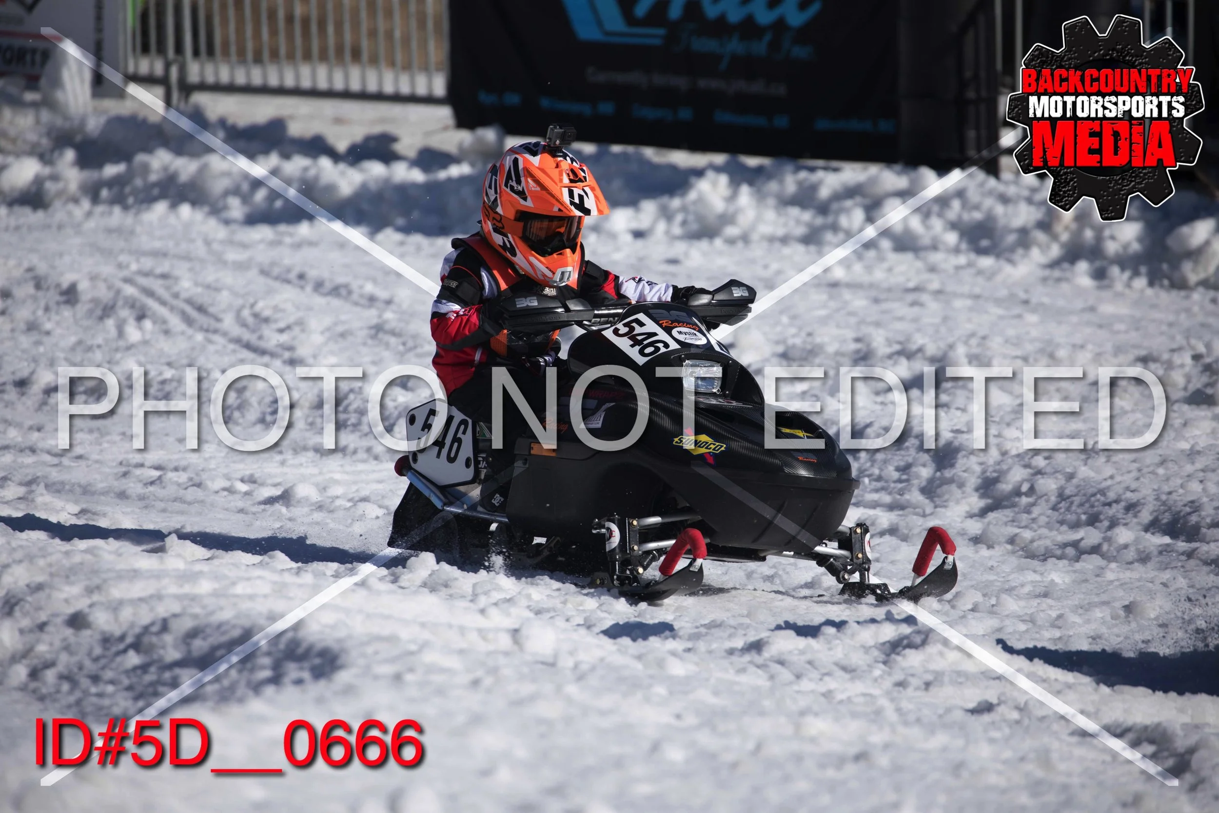 5D__0666.jpg