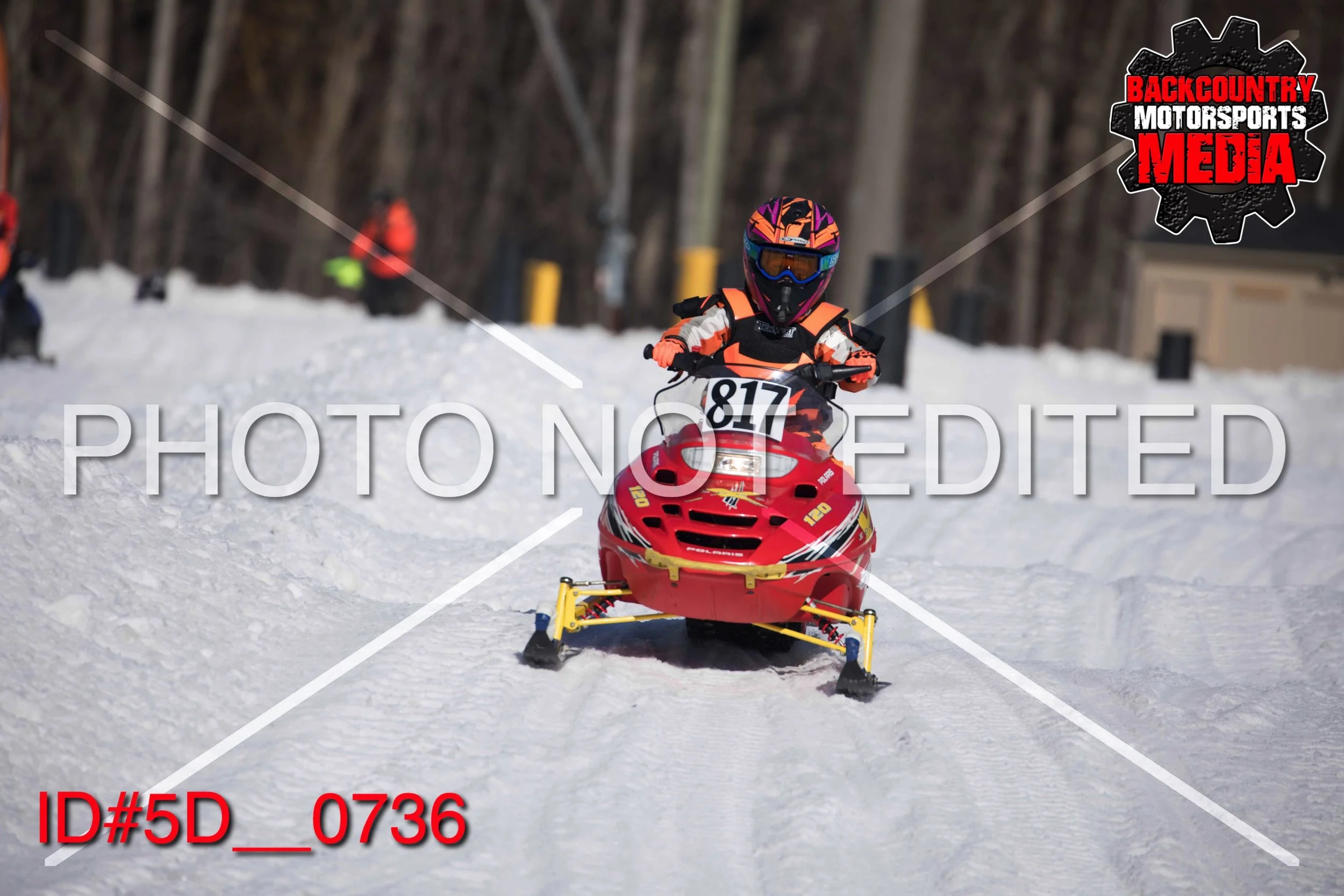 5D__0736.jpg
