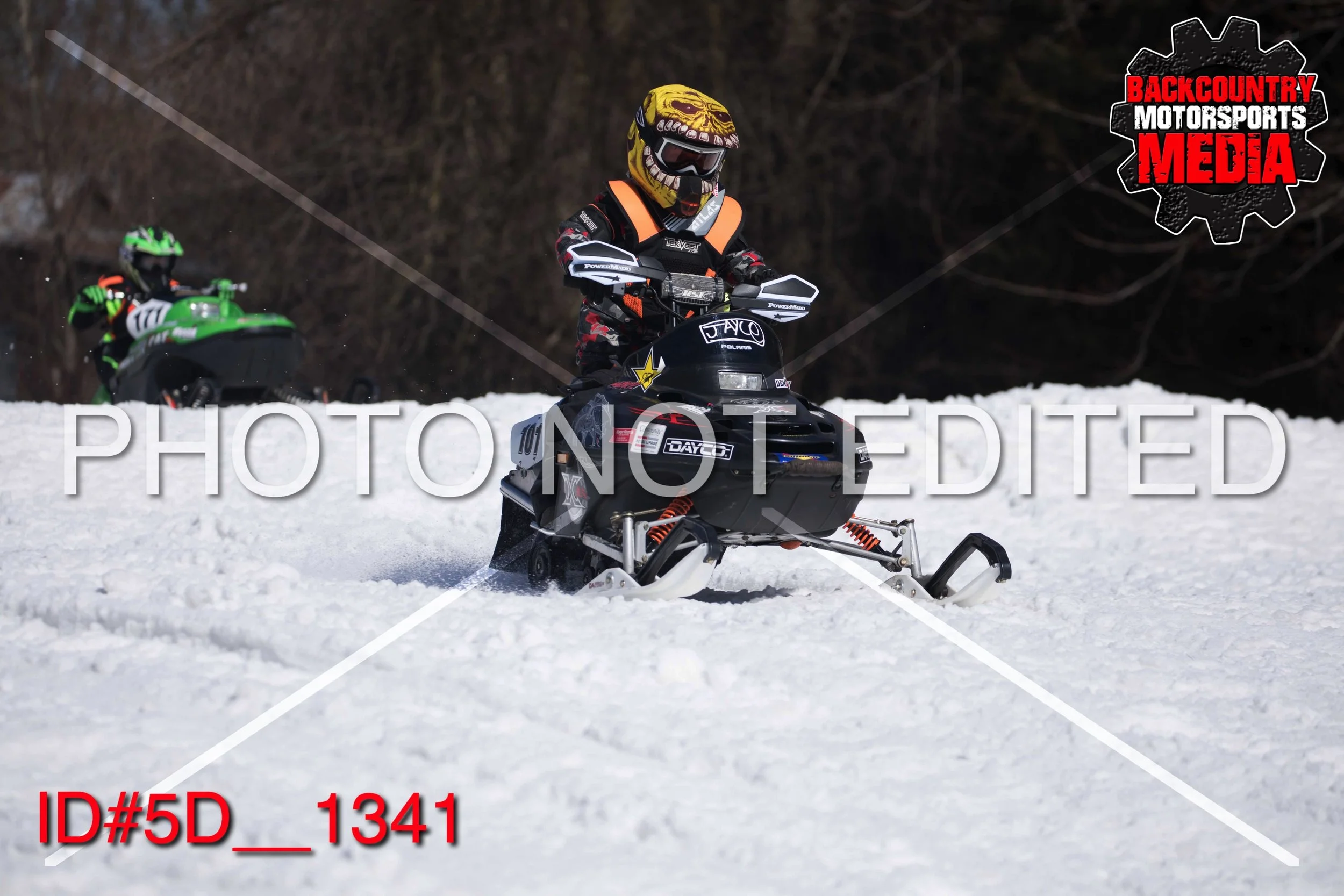 5D__1341.jpg