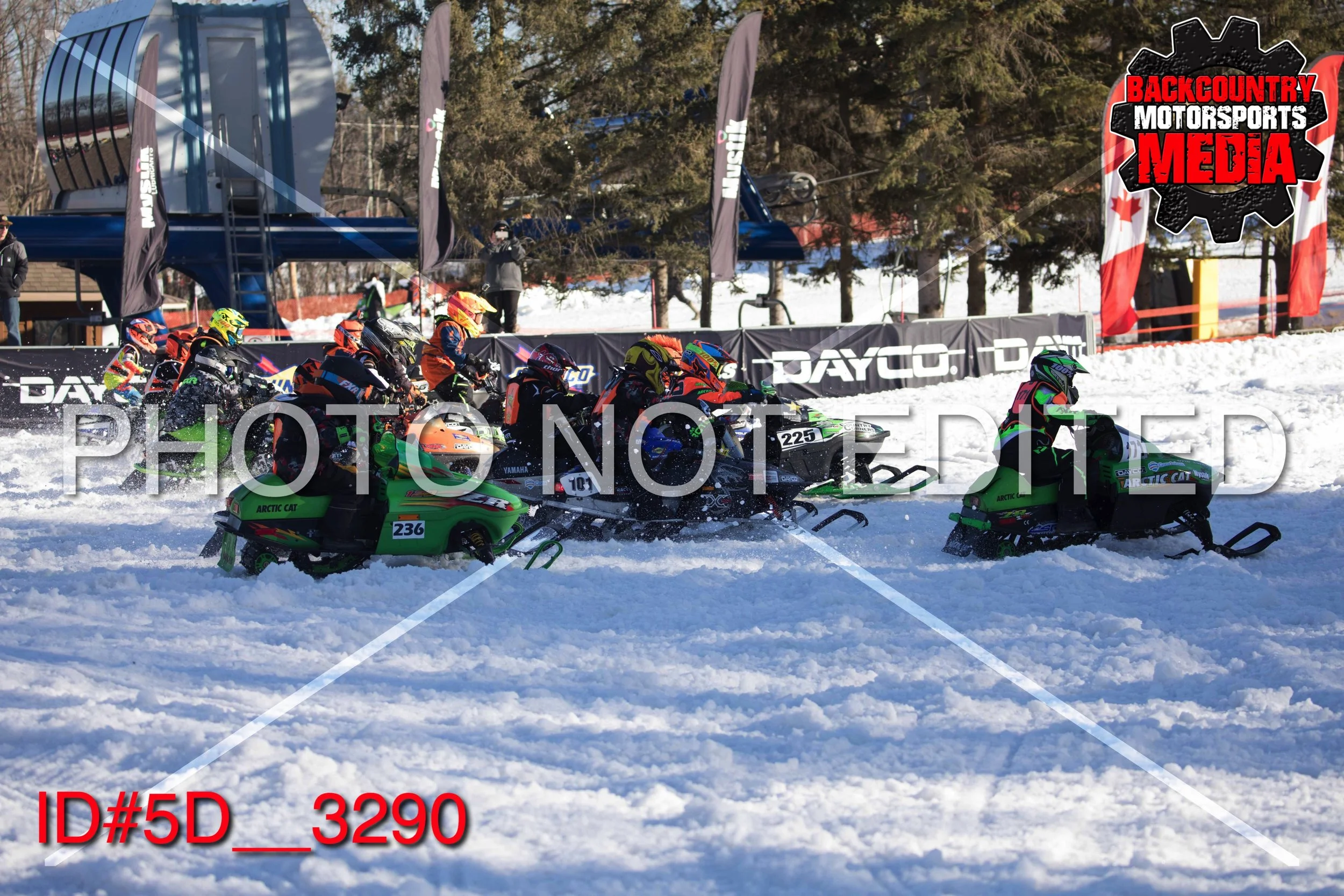 5D__3290.jpg